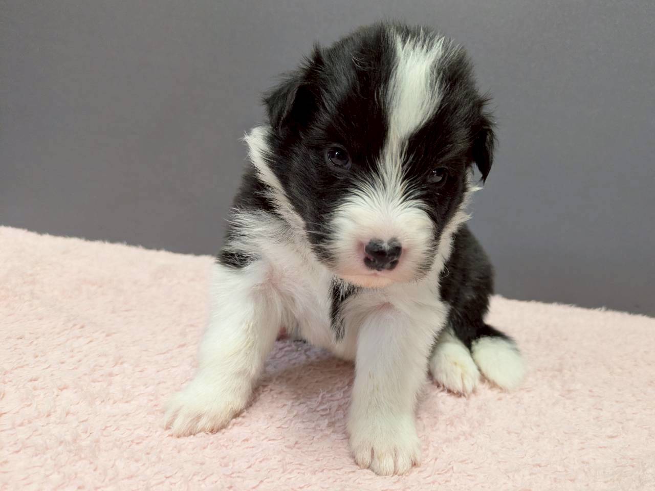 赤ちゃん写真2-1