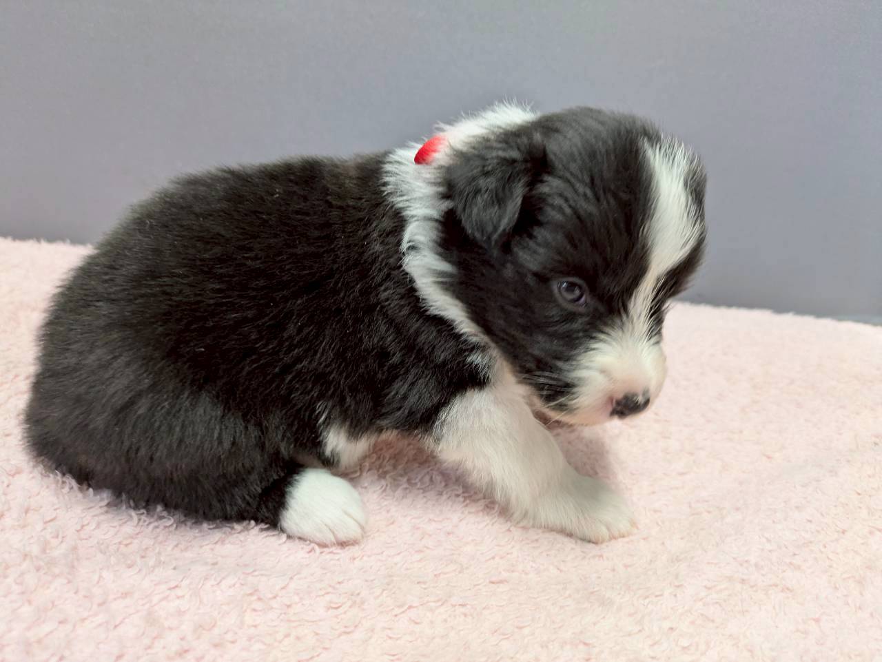 赤ちゃん写真2-2