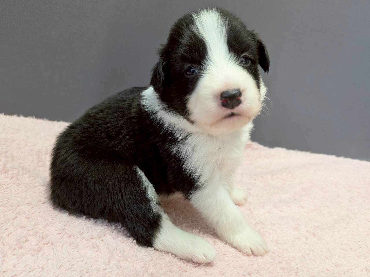 赤ちゃん写真2-2