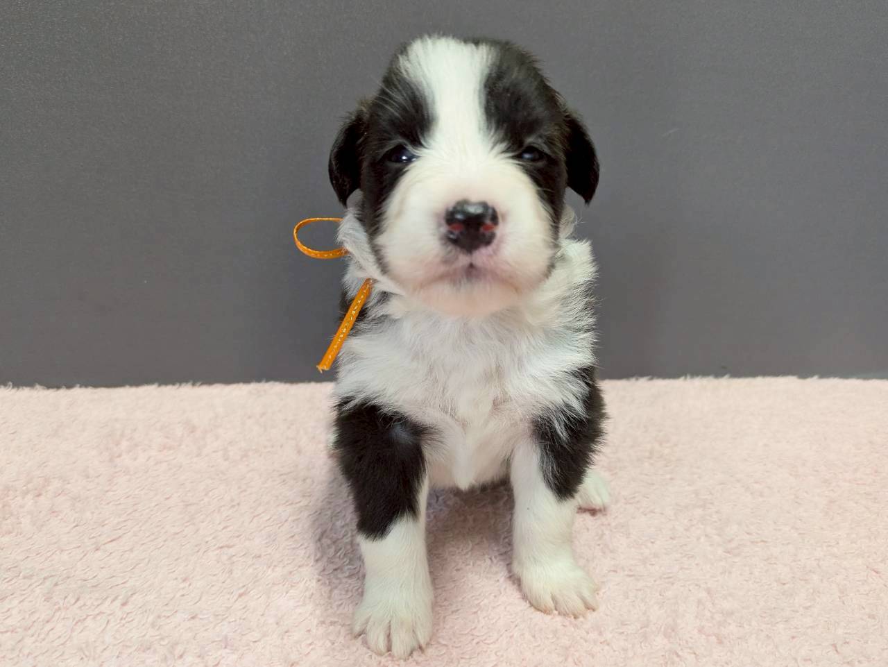 赤ちゃん写真2-1