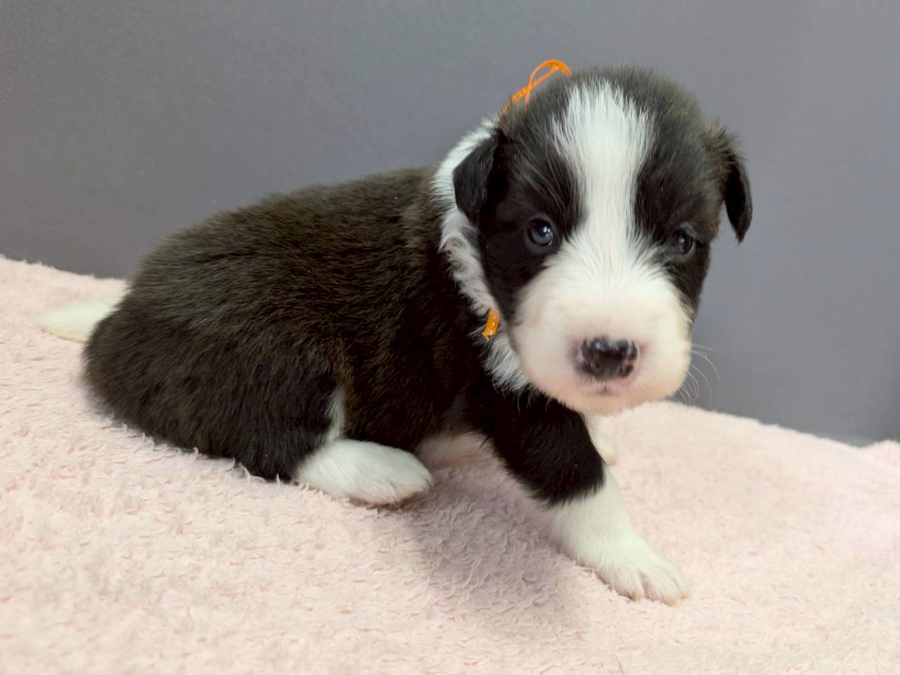 赤ちゃん写真2-2