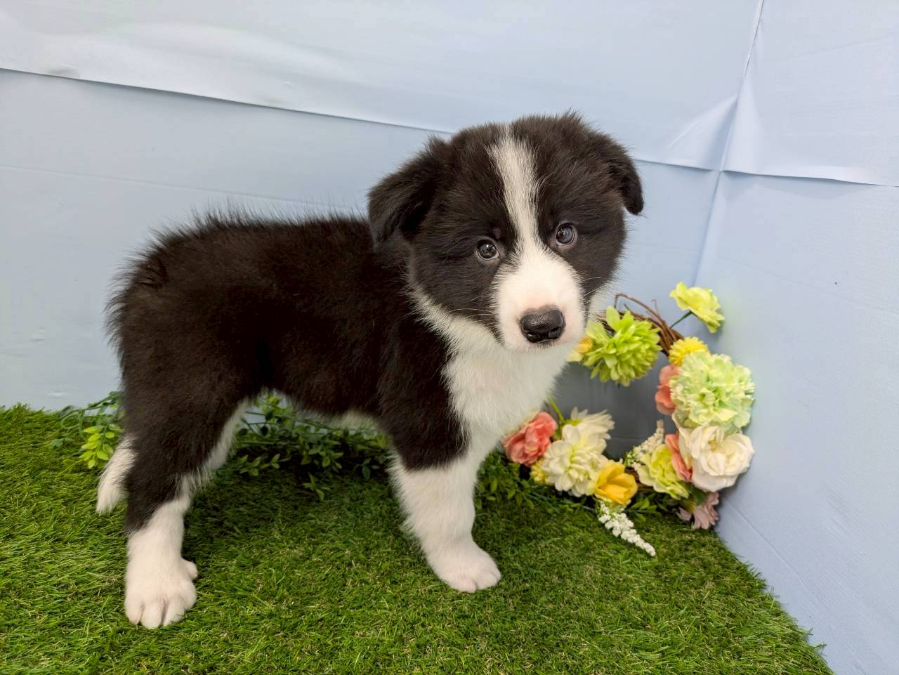 赤ちゃん写真3-2