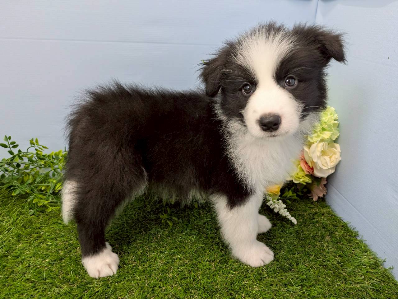 赤ちゃん写真3-2