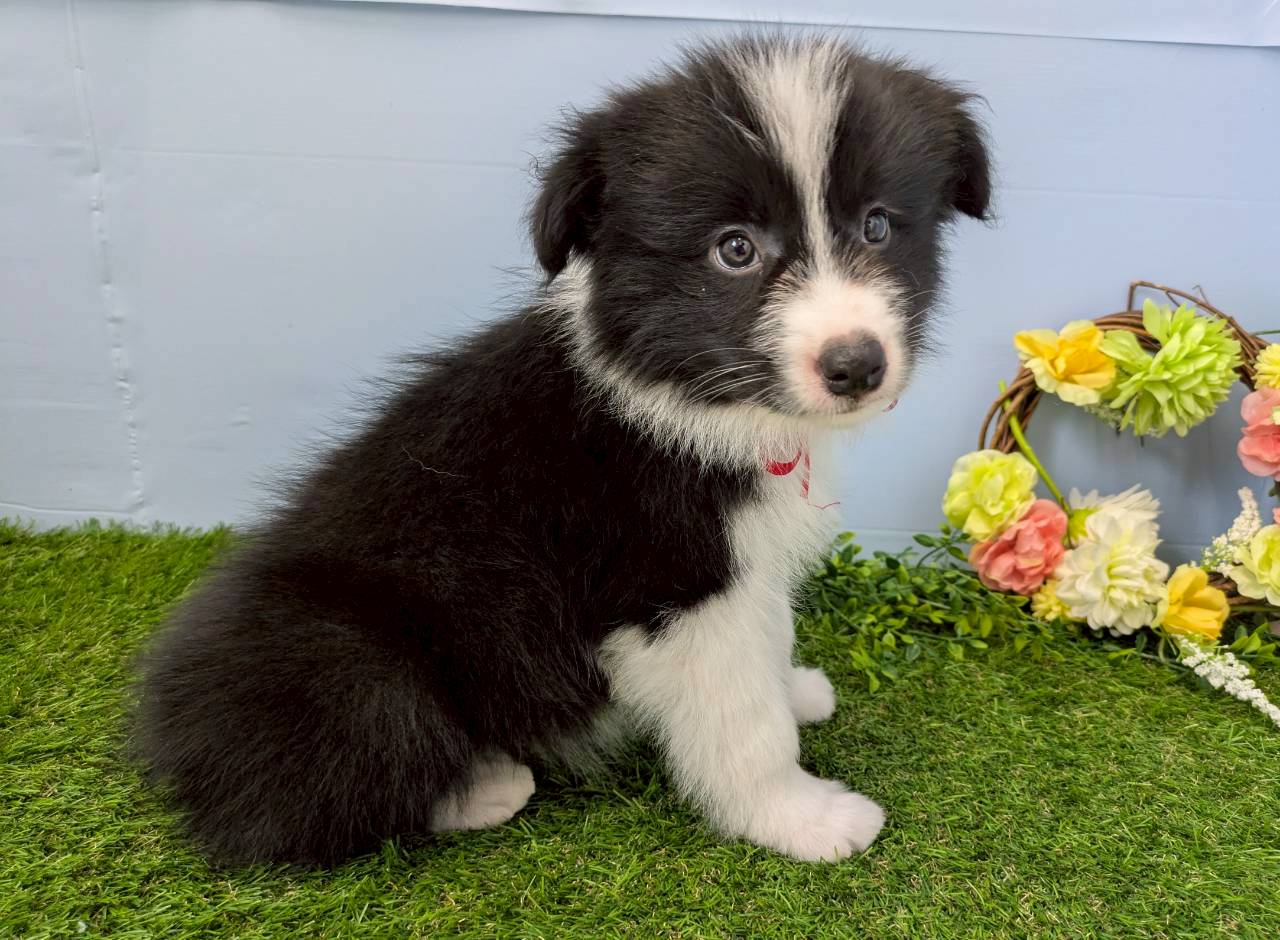 赤ちゃん写真3-2