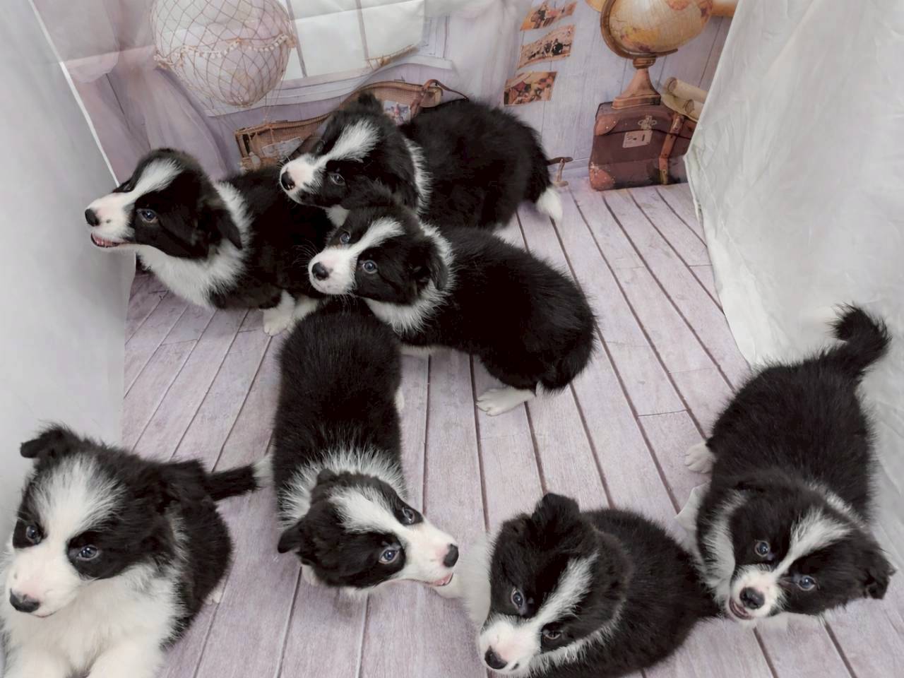 赤ちゃん写真3-3