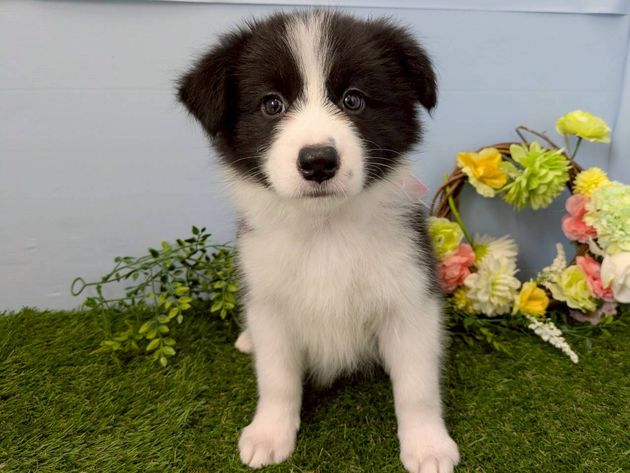 赤ちゃん写真3-1