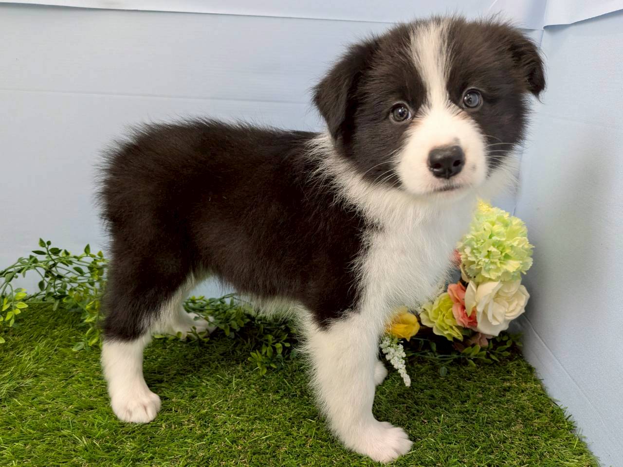 赤ちゃん写真3-2