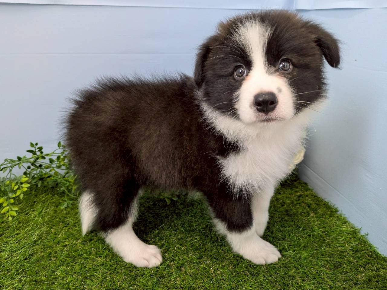 赤ちゃん写真3-2