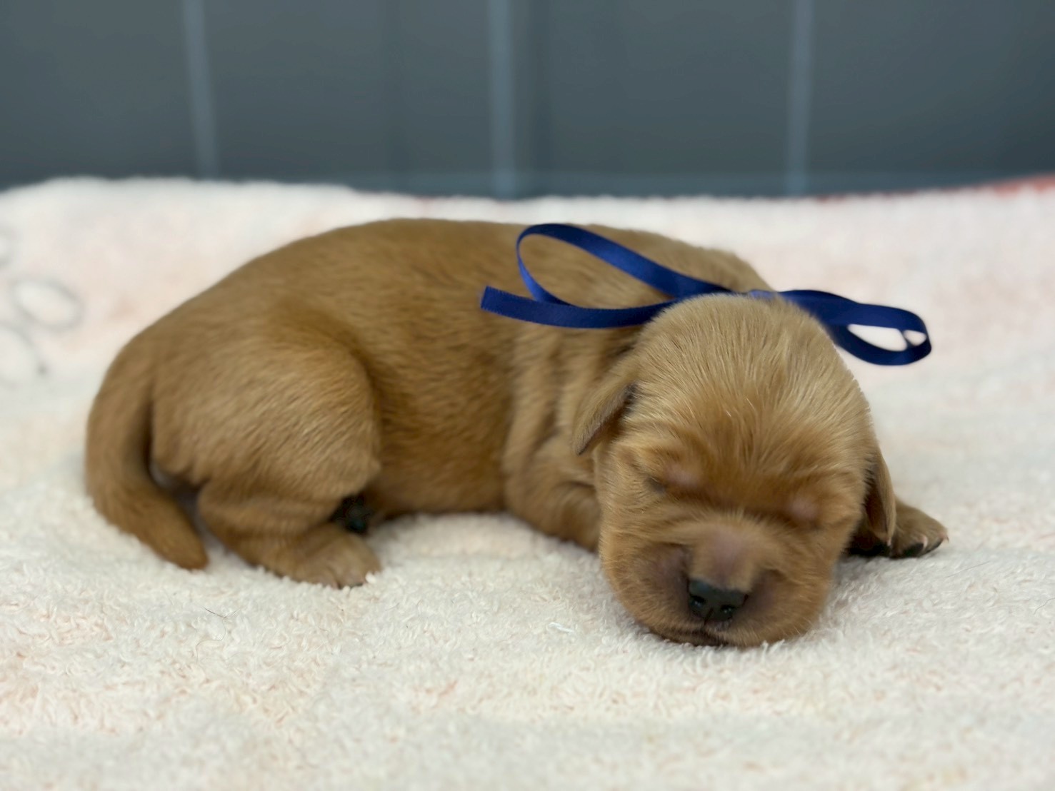 赤ちゃん写真1-2