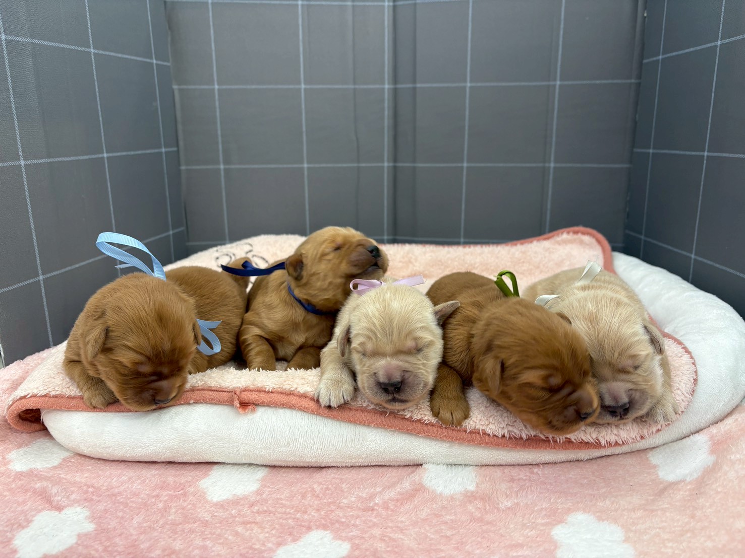 赤ちゃん写真1-3