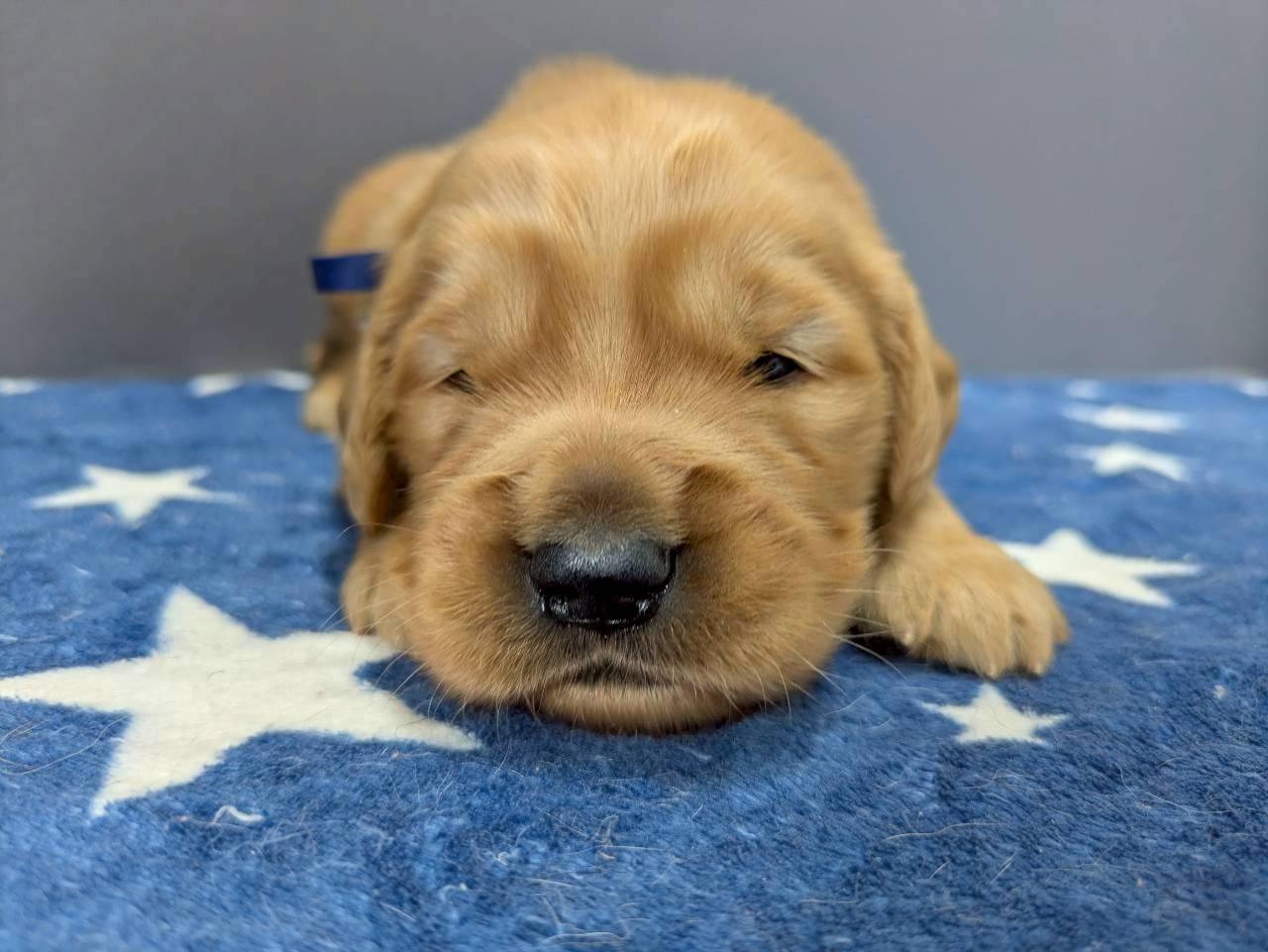 赤ちゃん写真2-1