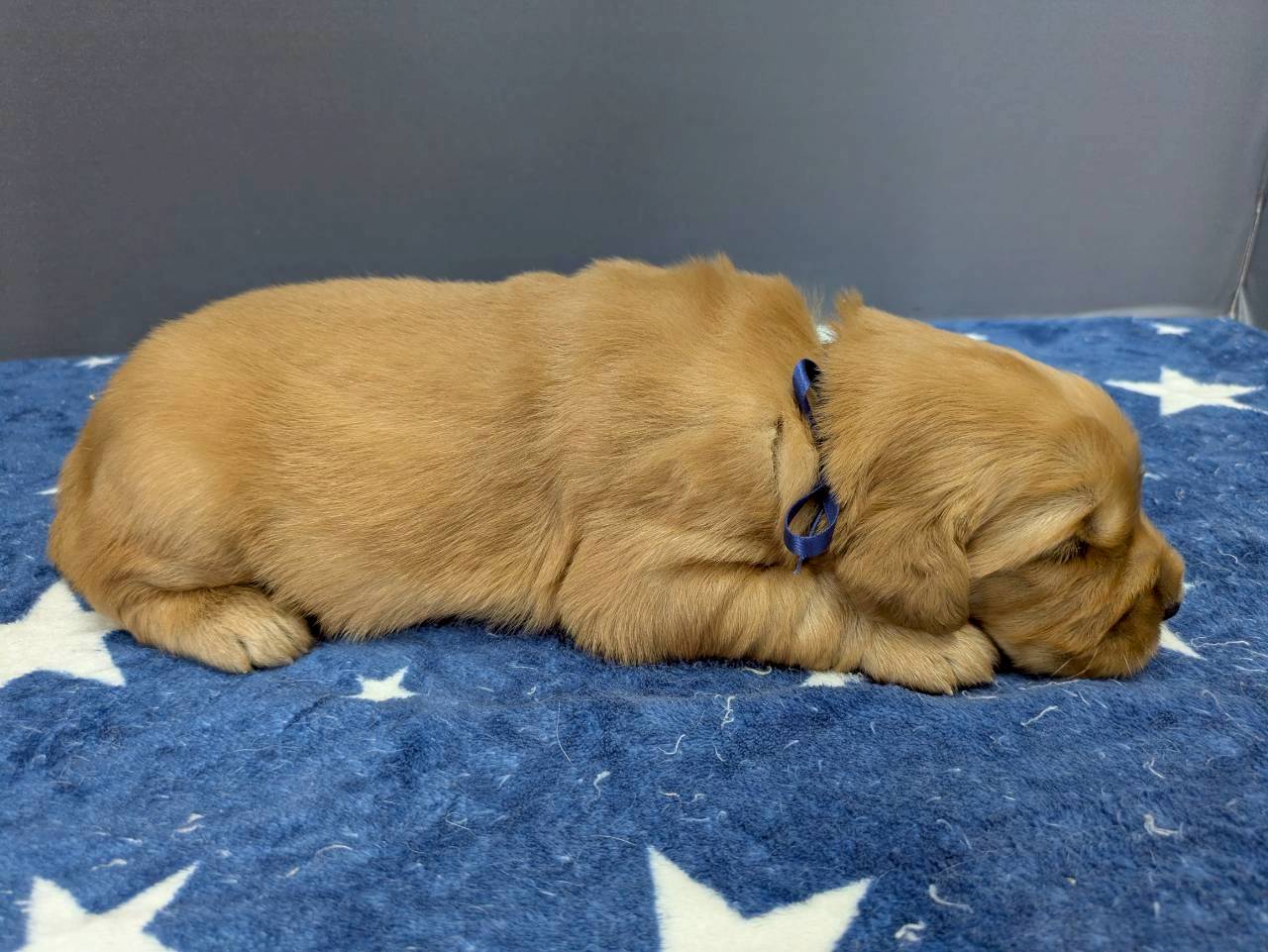 赤ちゃん写真2-2