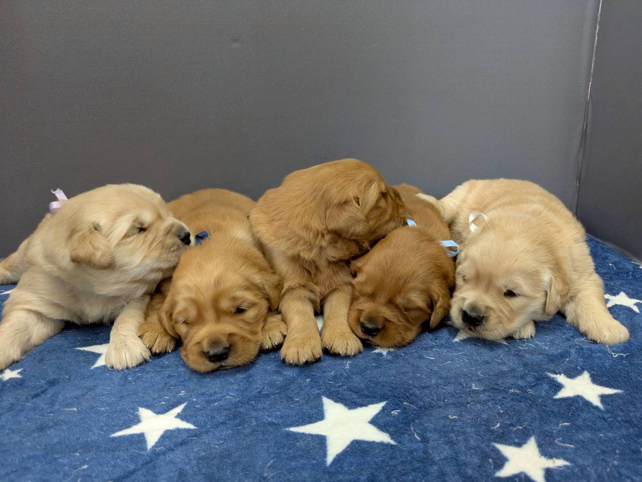 赤ちゃん写真2-3