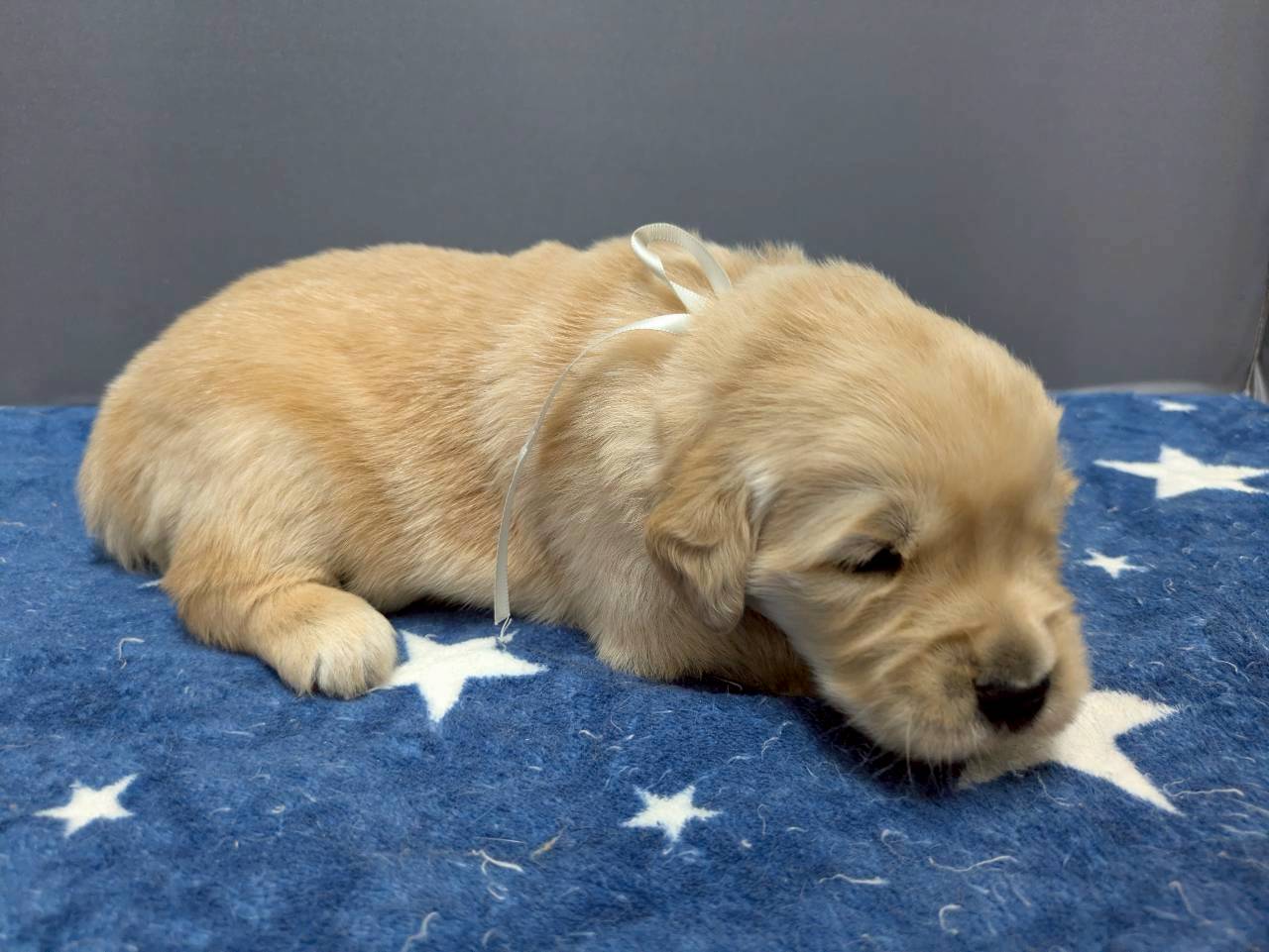 赤ちゃん写真2-2