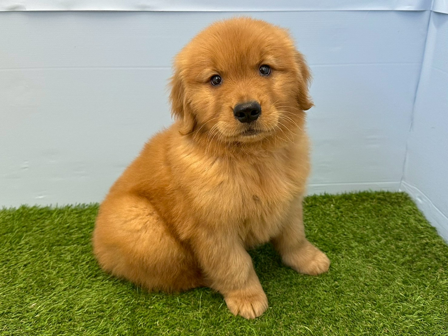 赤ちゃん写真3-2