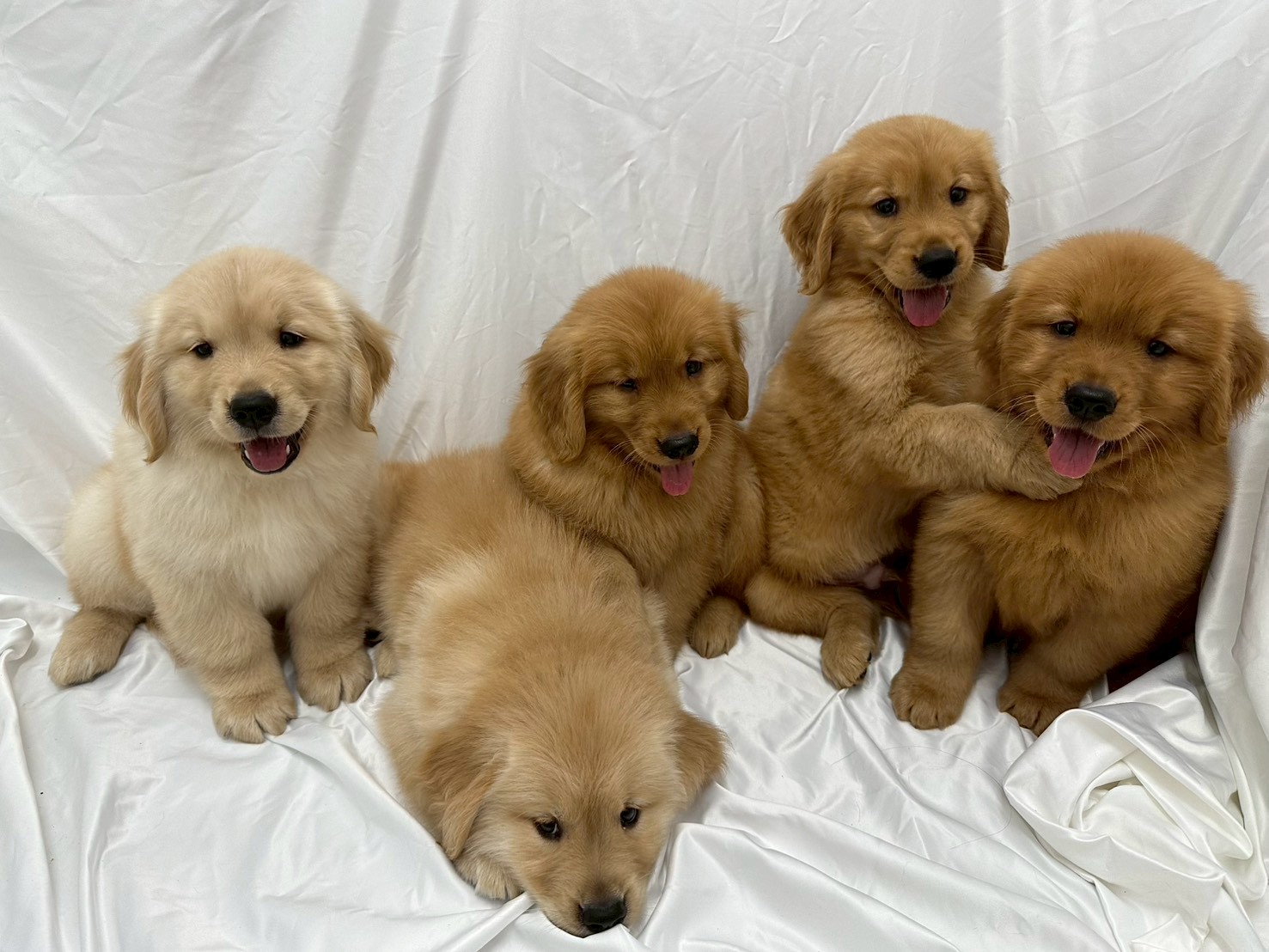 赤ちゃん写真3-3