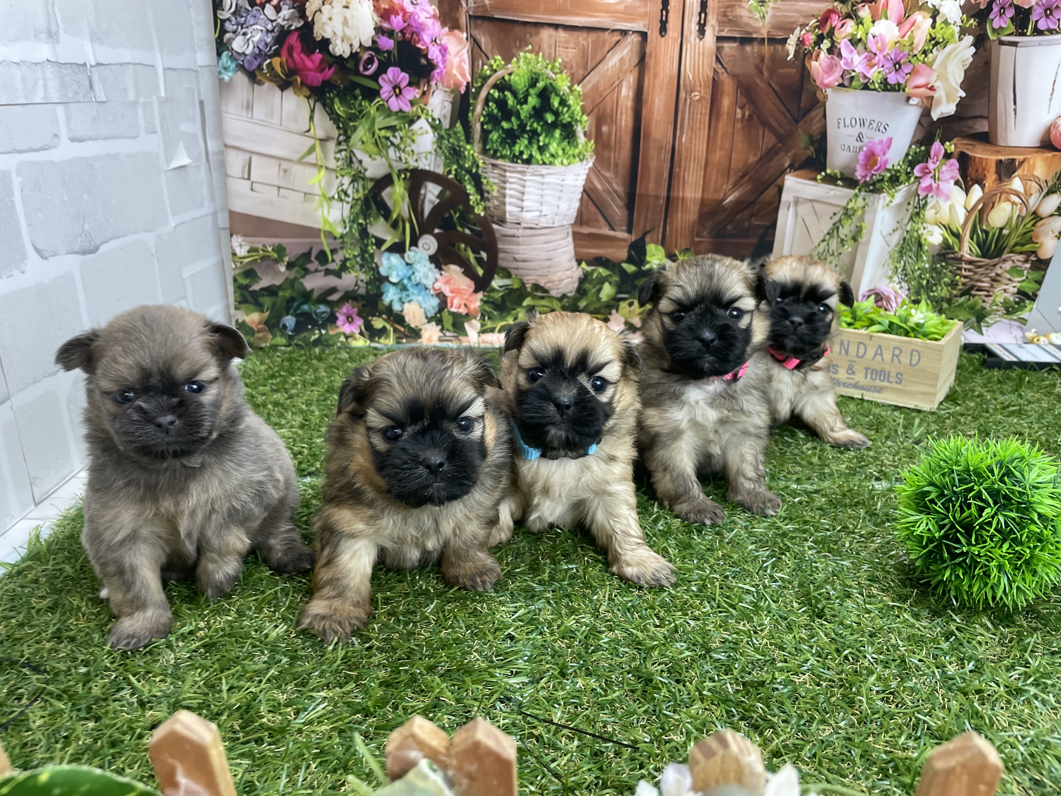 赤ちゃん写真1-3