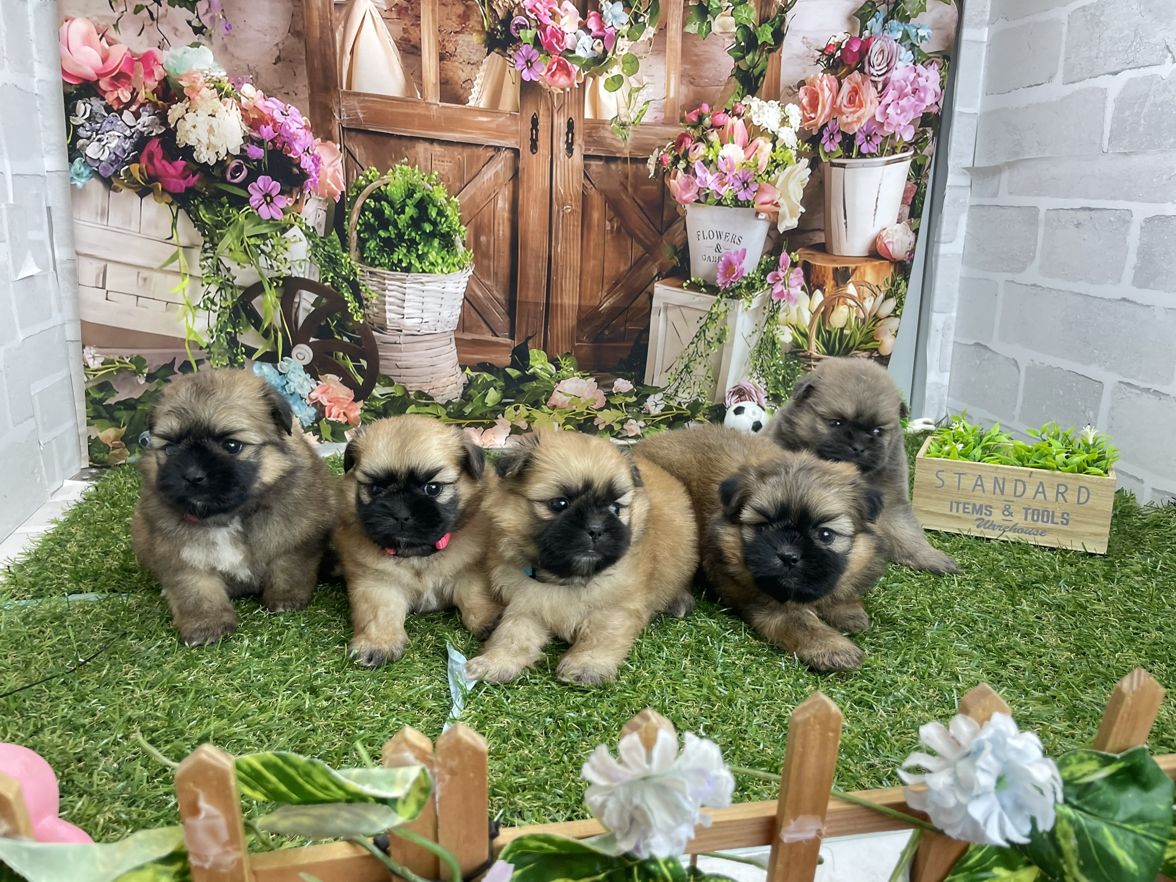 赤ちゃん写真2-3