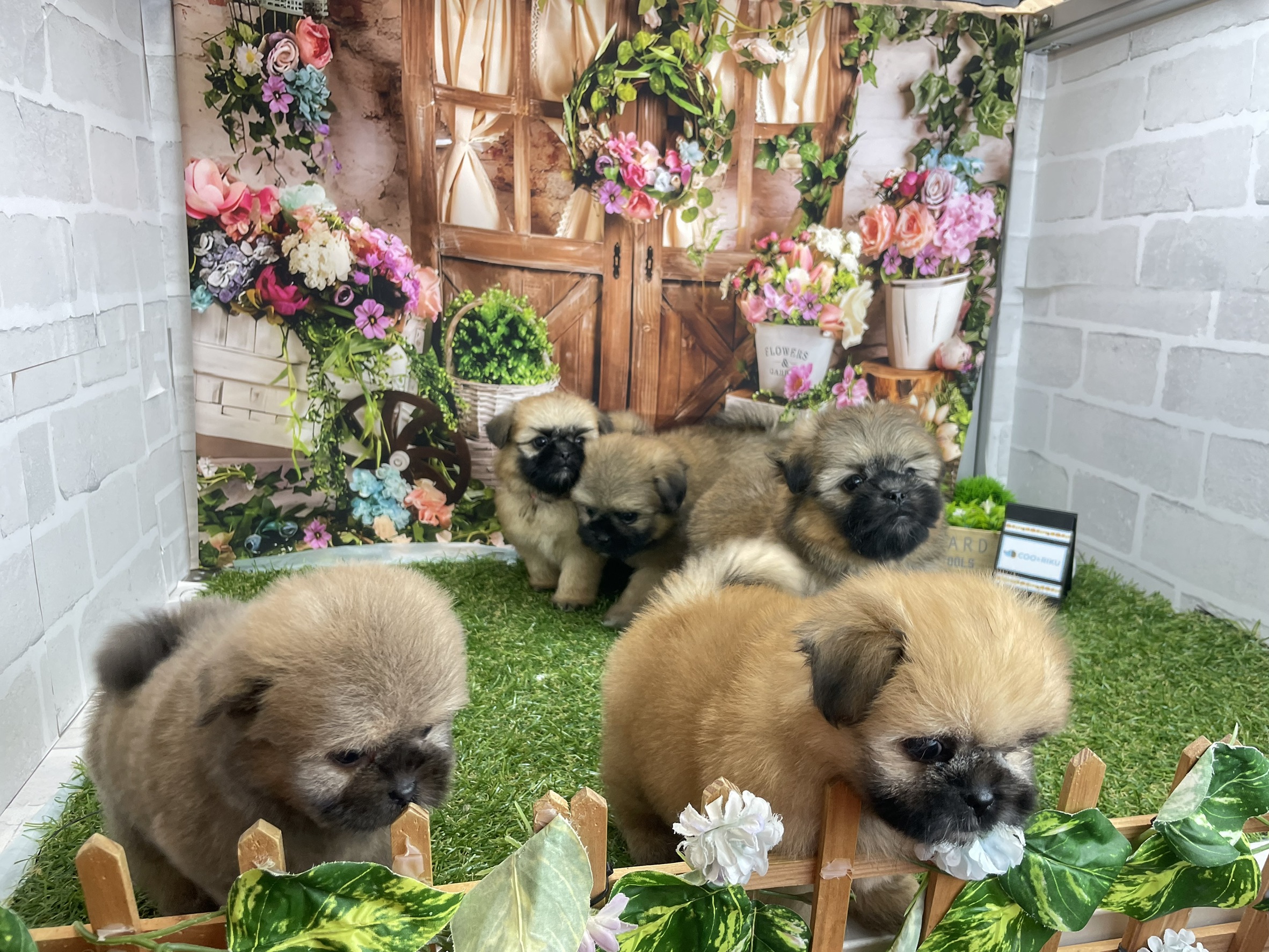 赤ちゃん写真3-3
