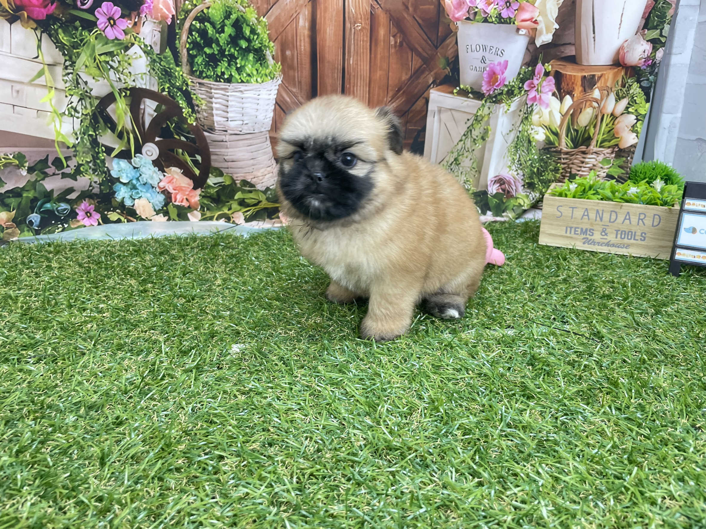 赤ちゃん写真3-1