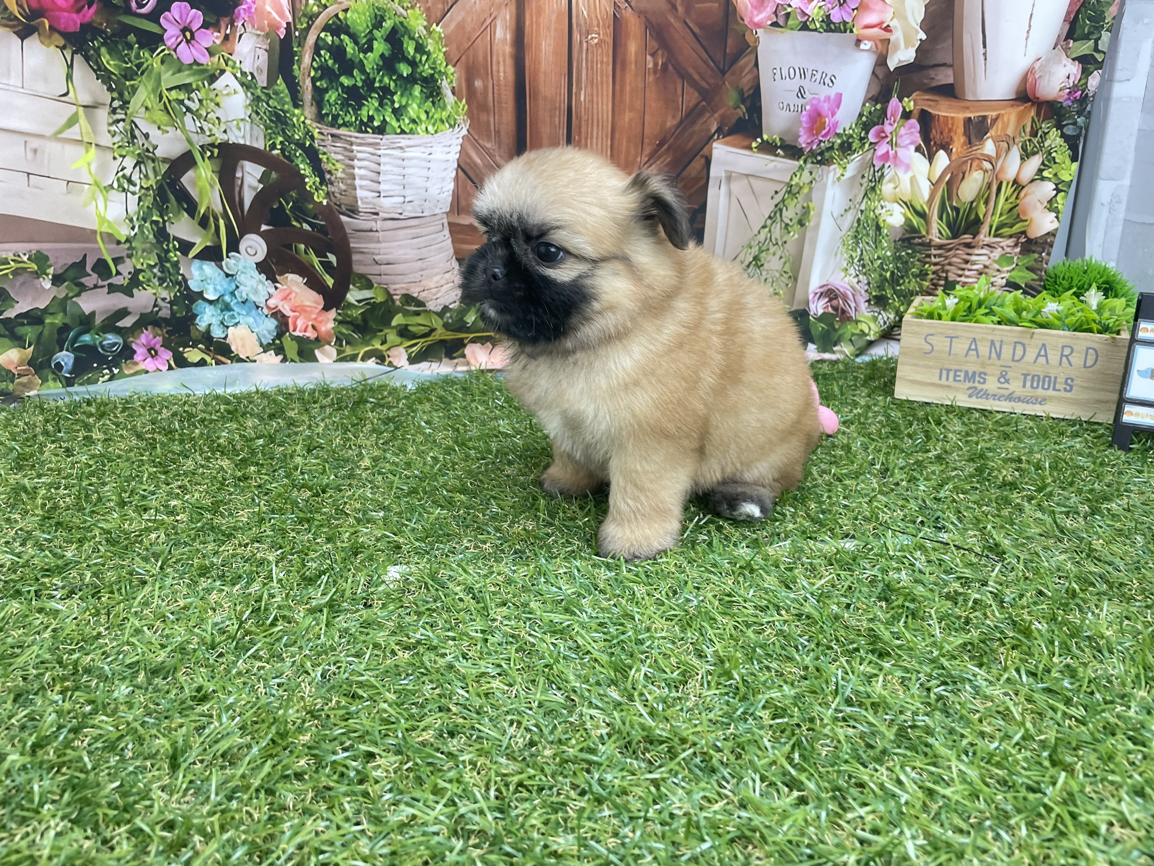 赤ちゃん写真3-2