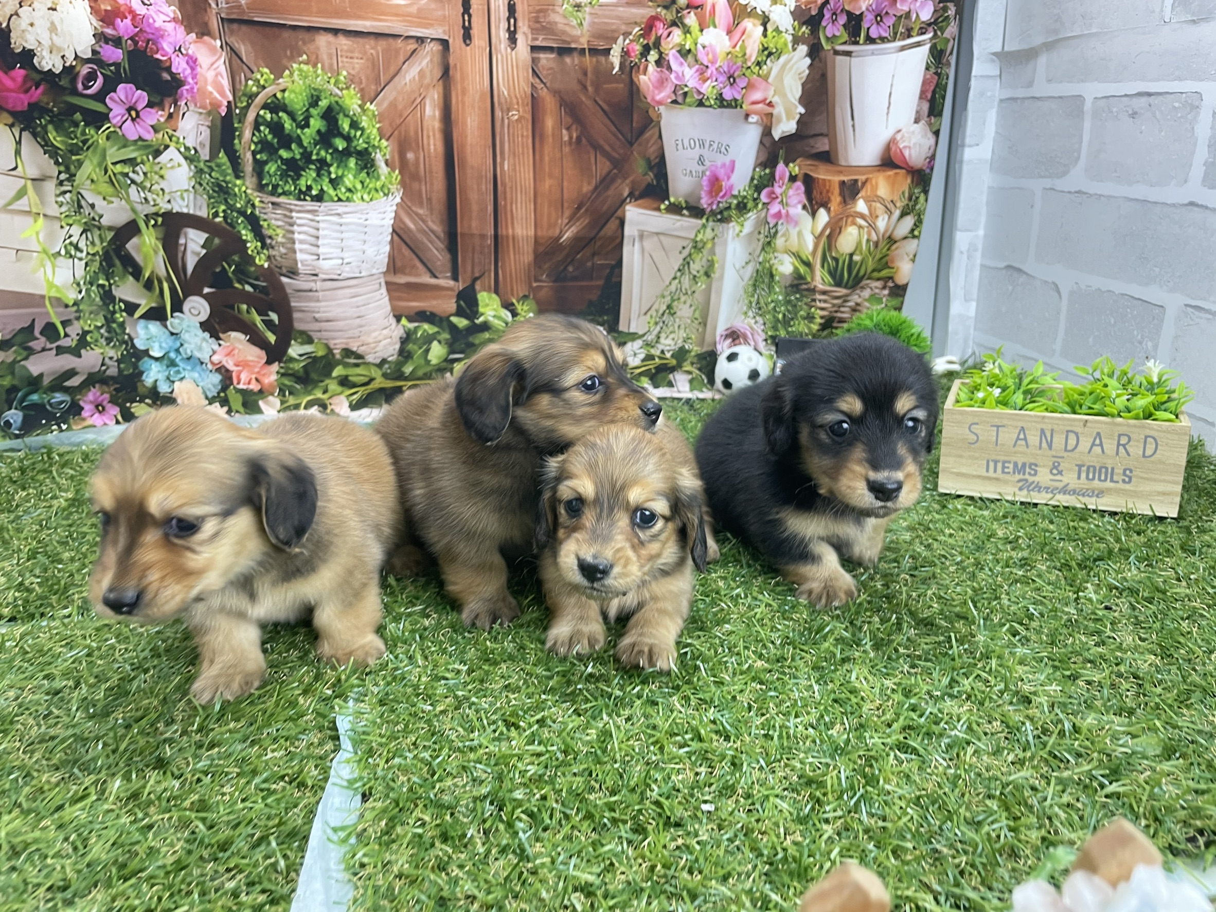 赤ちゃん写真2-3