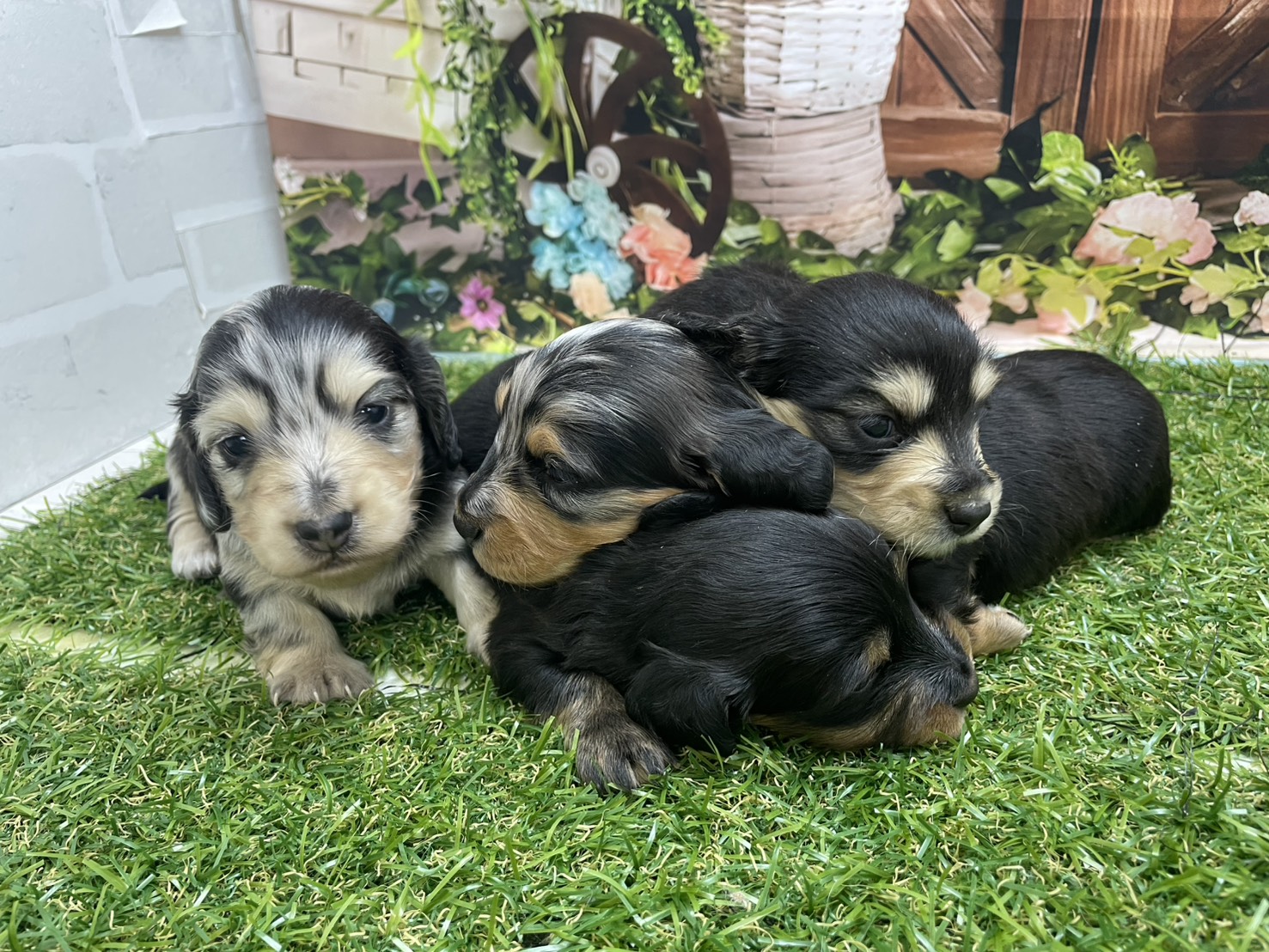 赤ちゃん写真1-3