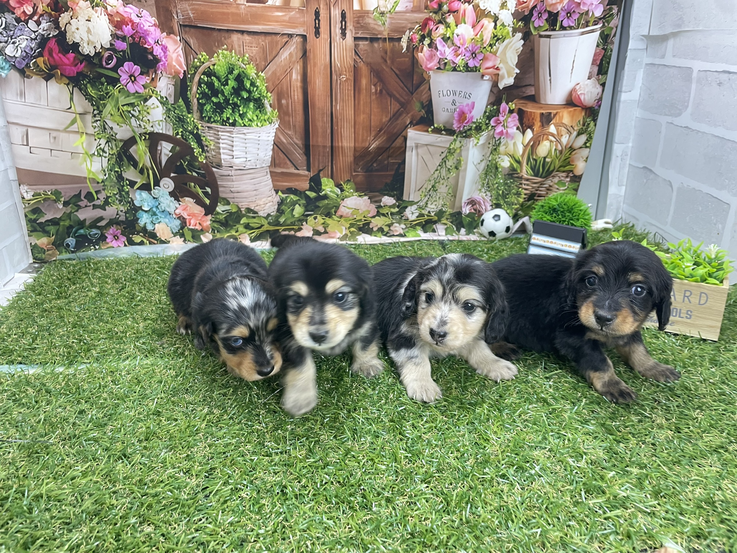 赤ちゃん写真2-3