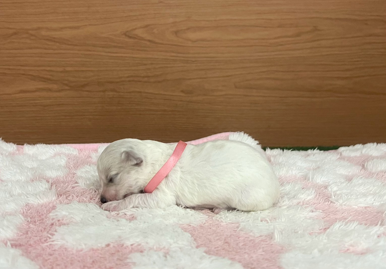赤ちゃん写真1-2