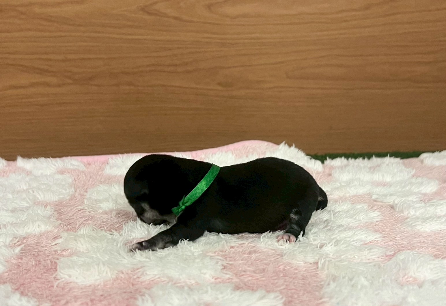 赤ちゃん写真1-2