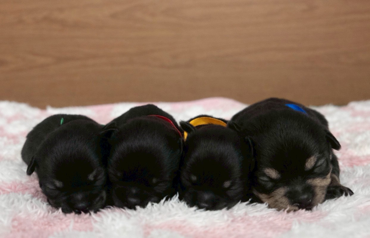 赤ちゃん写真1-3