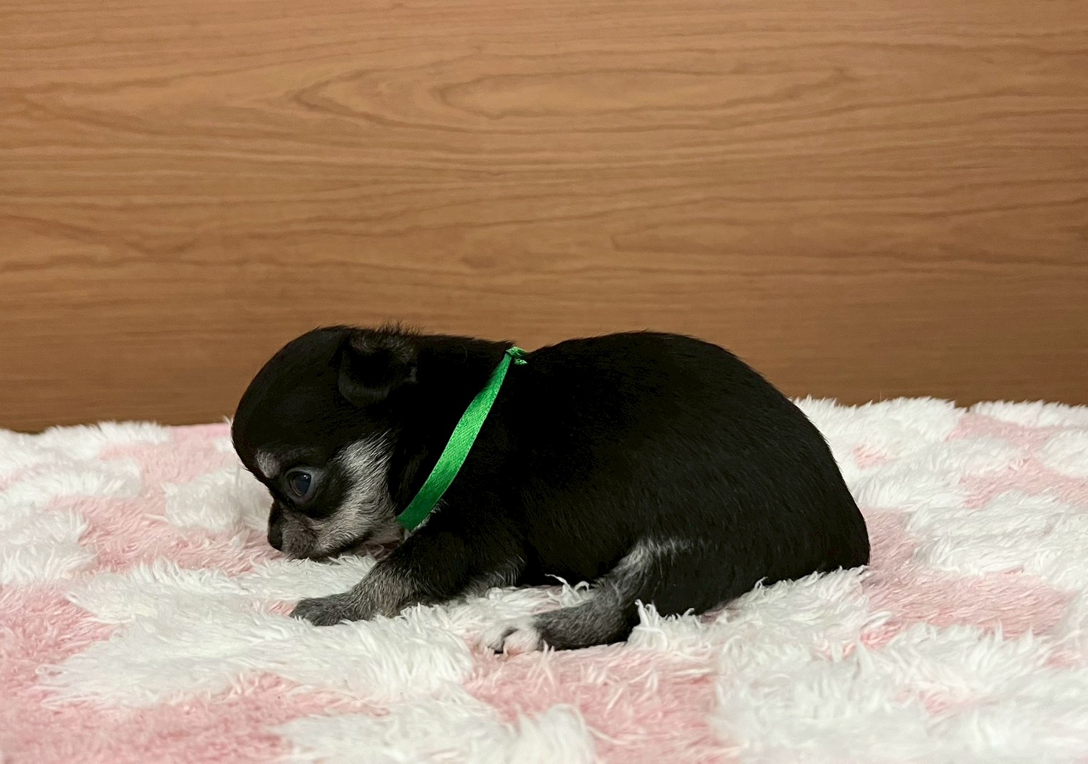 赤ちゃん写真2-2