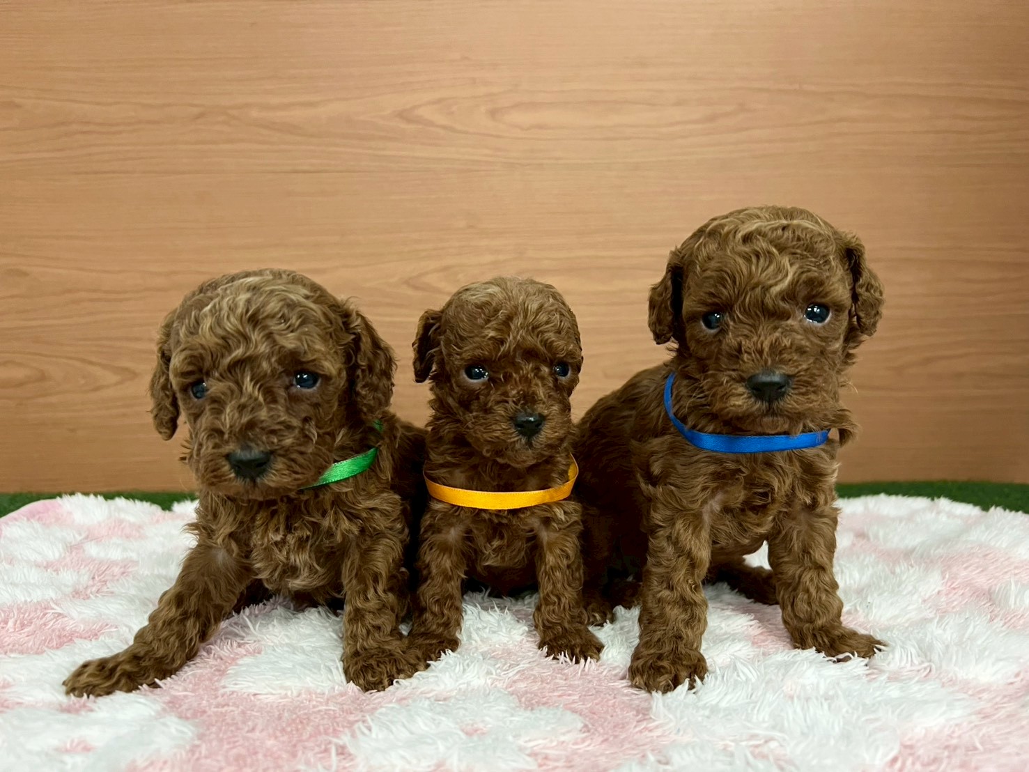 赤ちゃん写真2-3