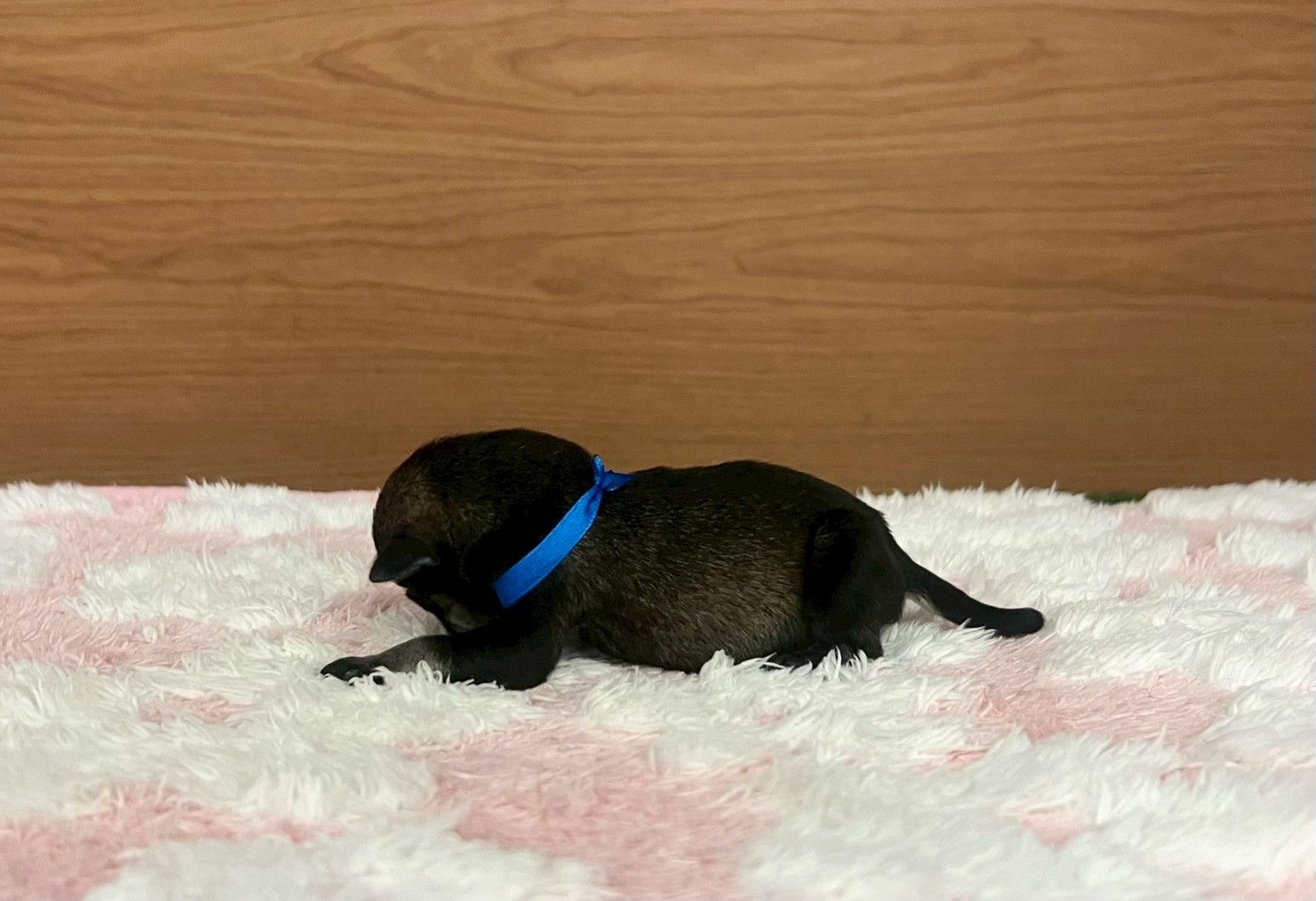 赤ちゃん写真1-2