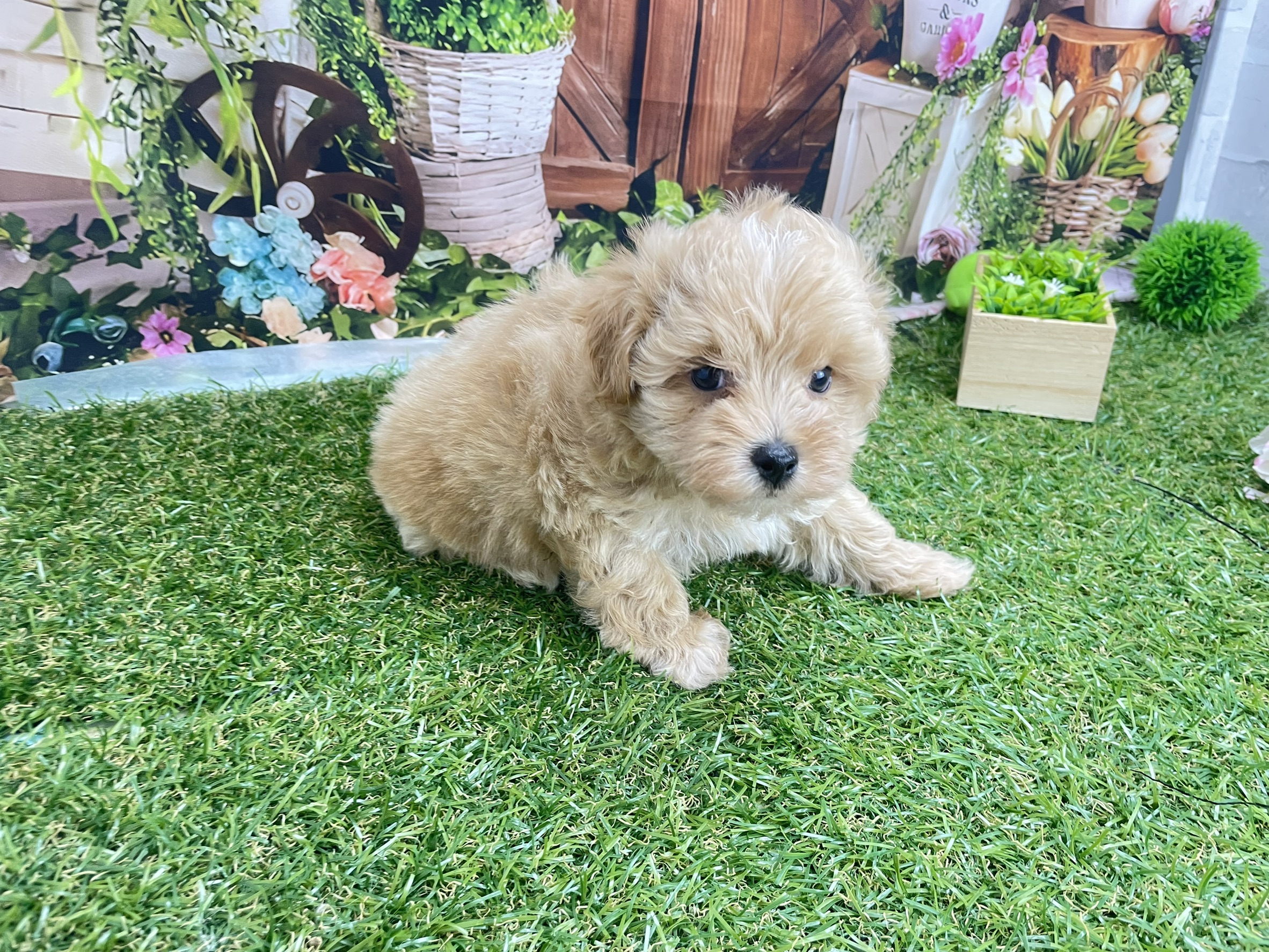 赤ちゃん写真3-3