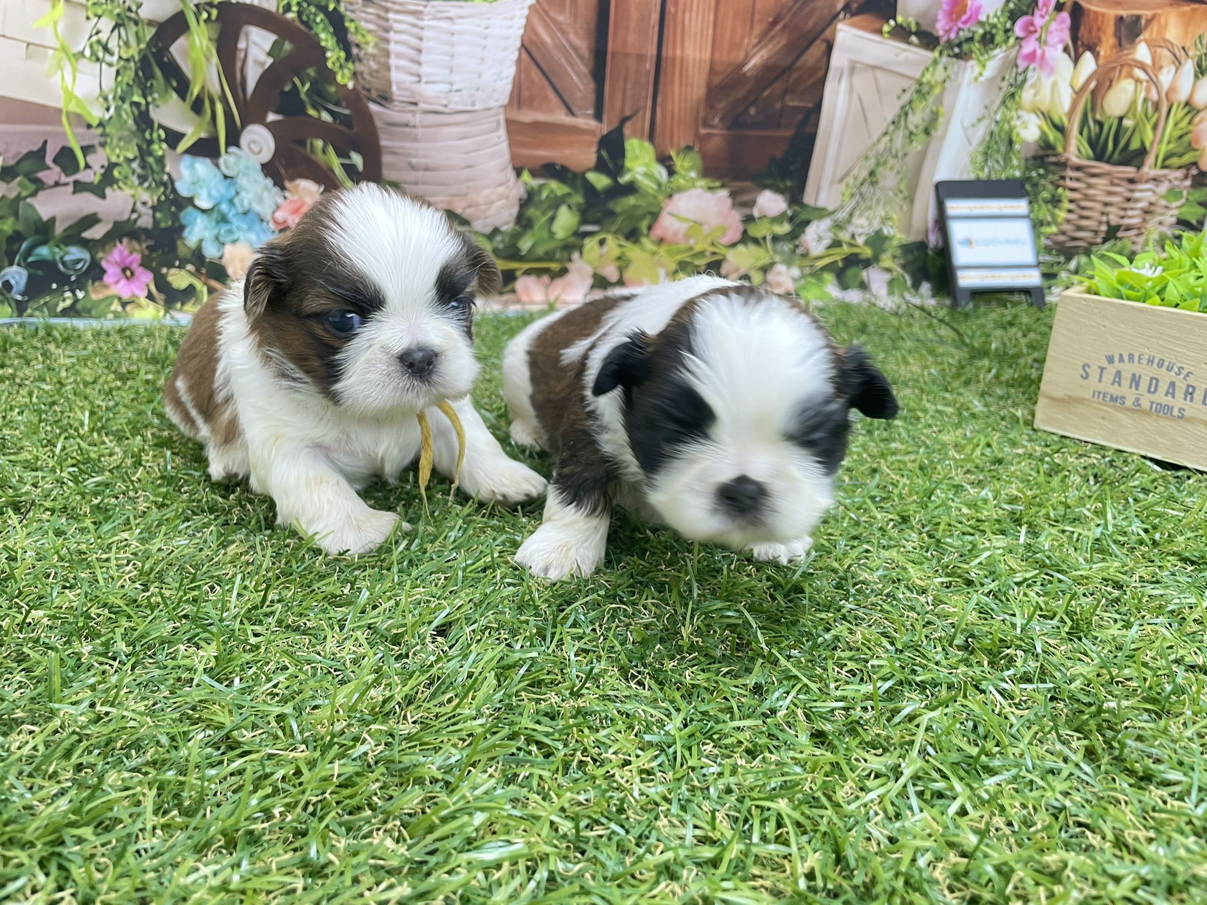 赤ちゃん写真1-3