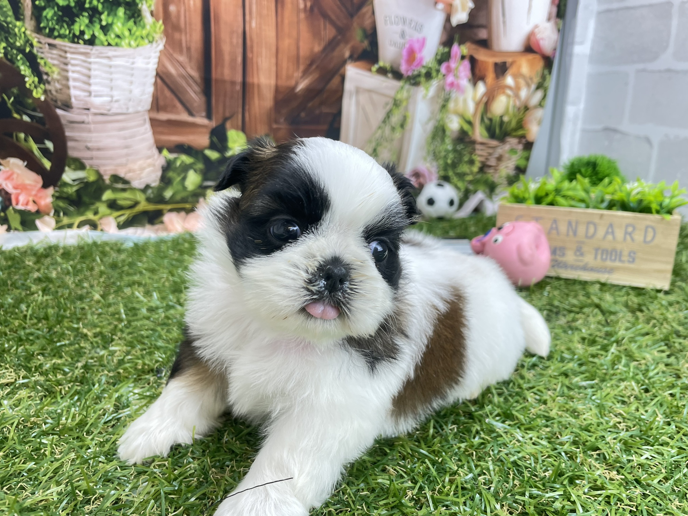 赤ちゃん写真2-1