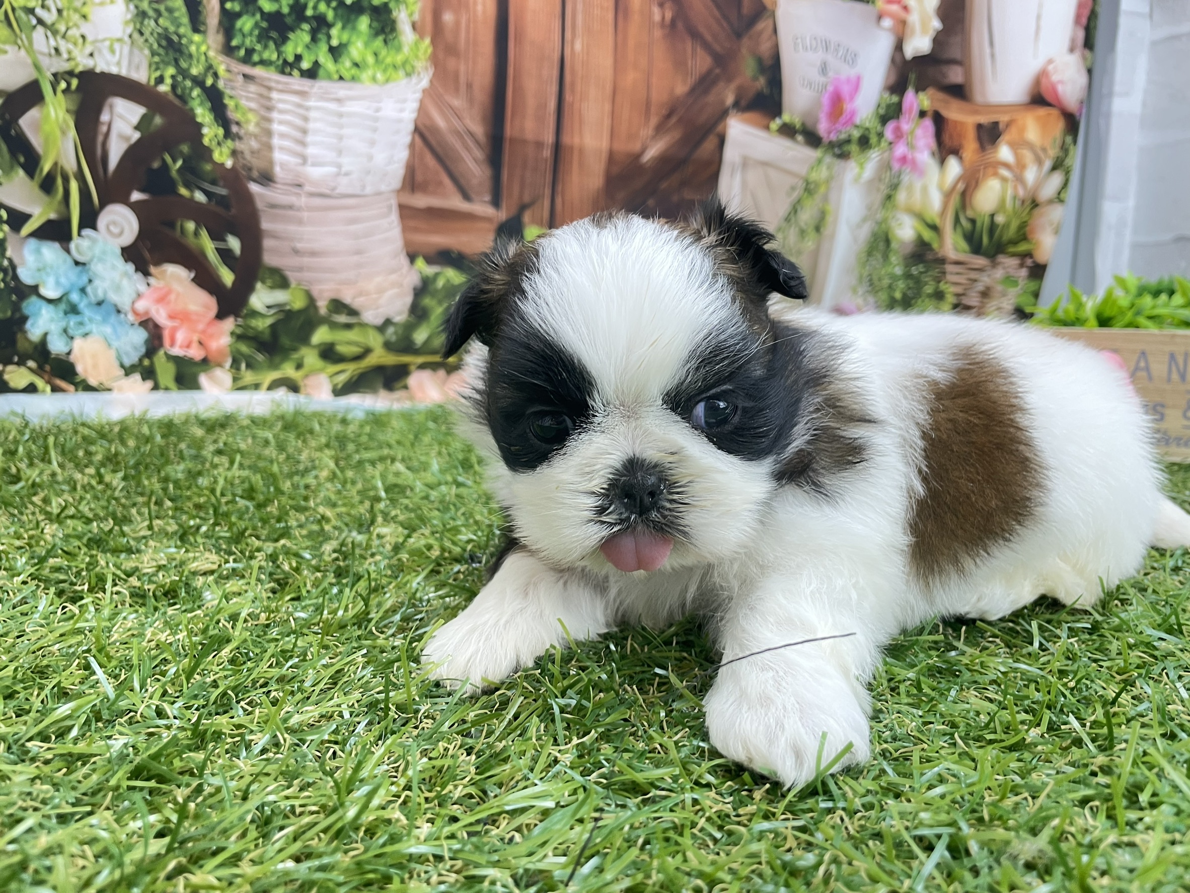 赤ちゃん写真2-2