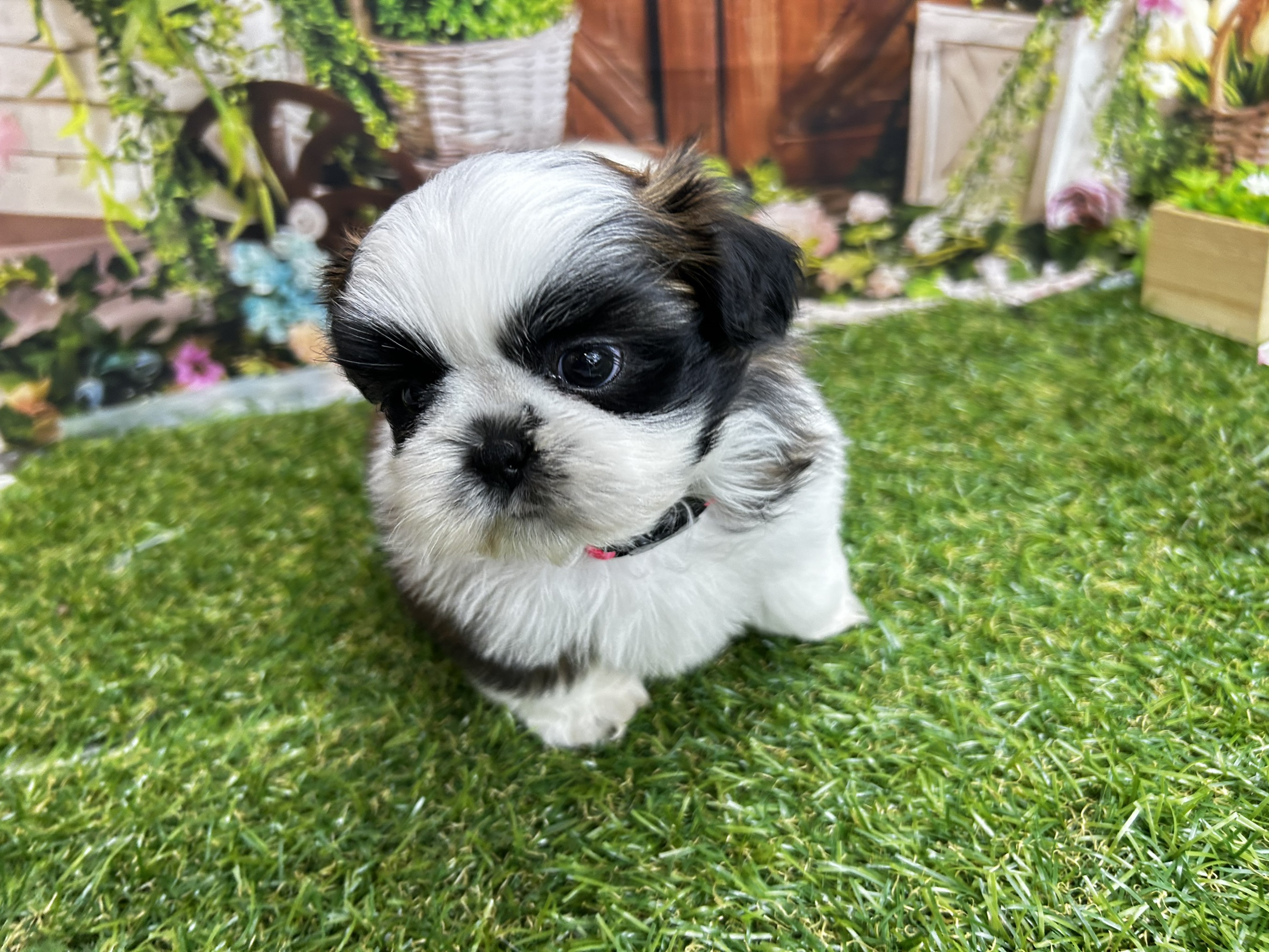 赤ちゃん写真3-1