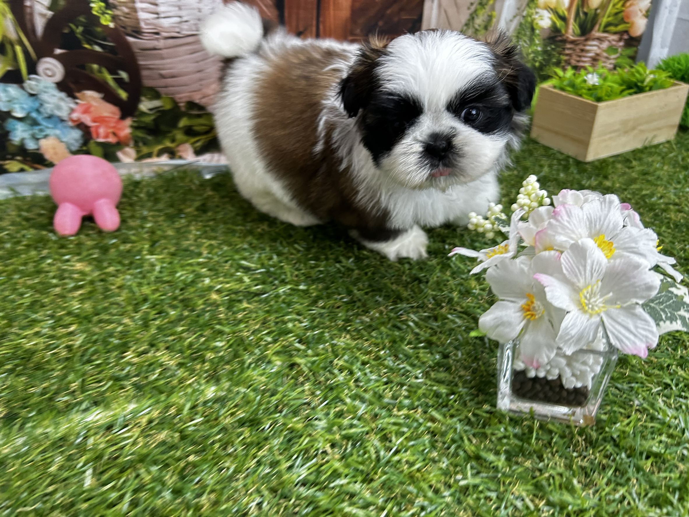 赤ちゃん写真3-2