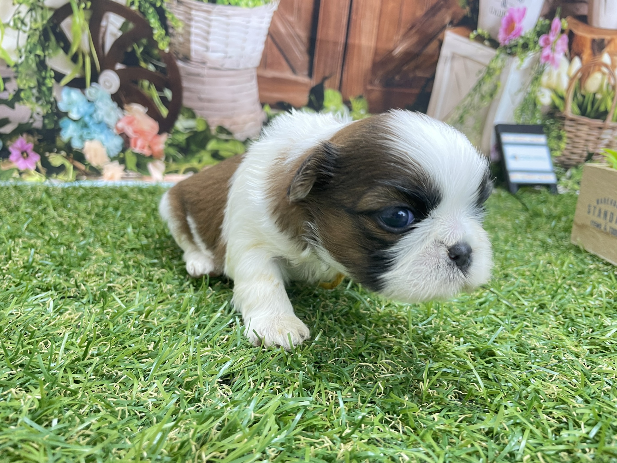 赤ちゃん写真1-1