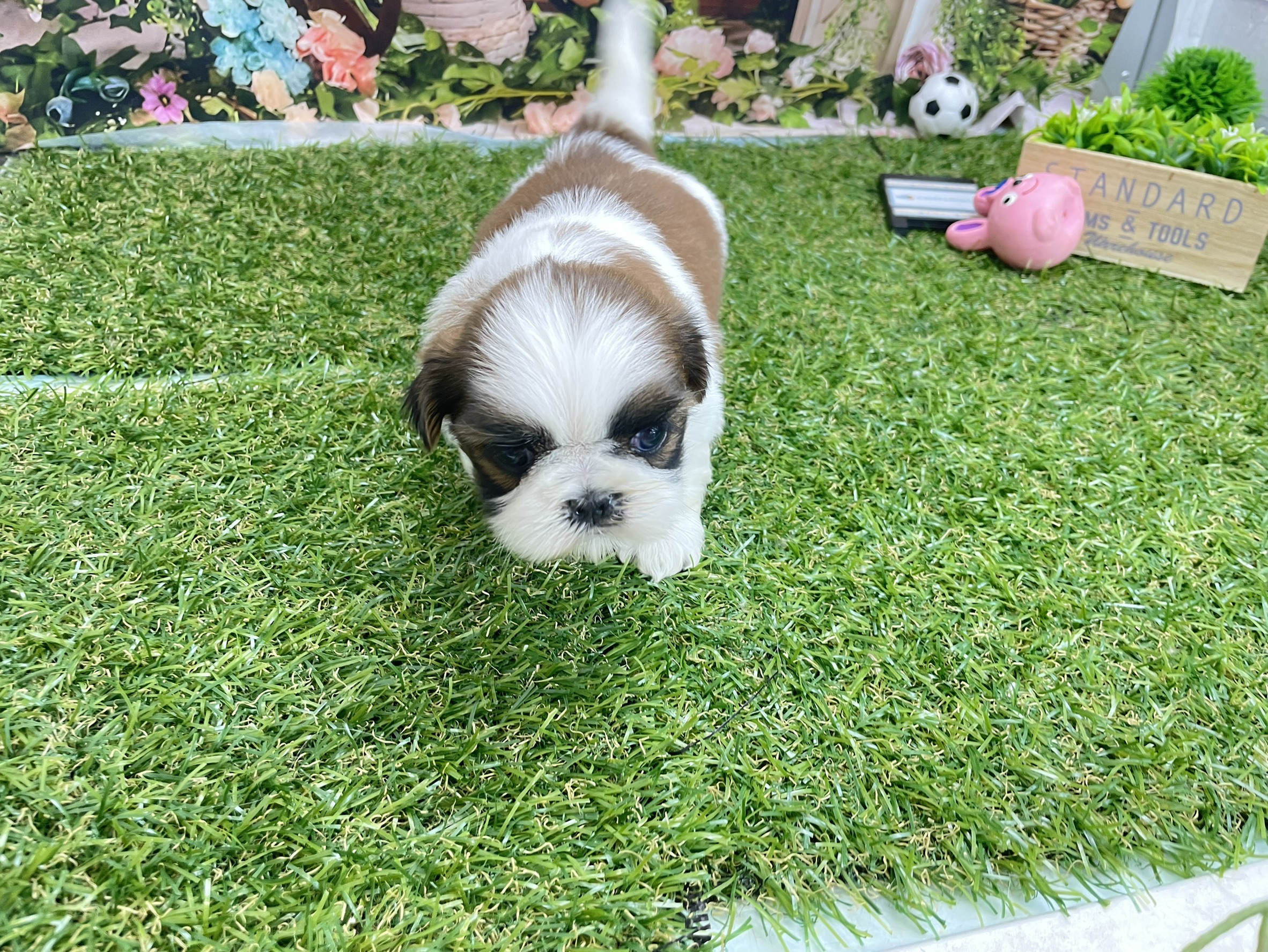 赤ちゃん写真2-1