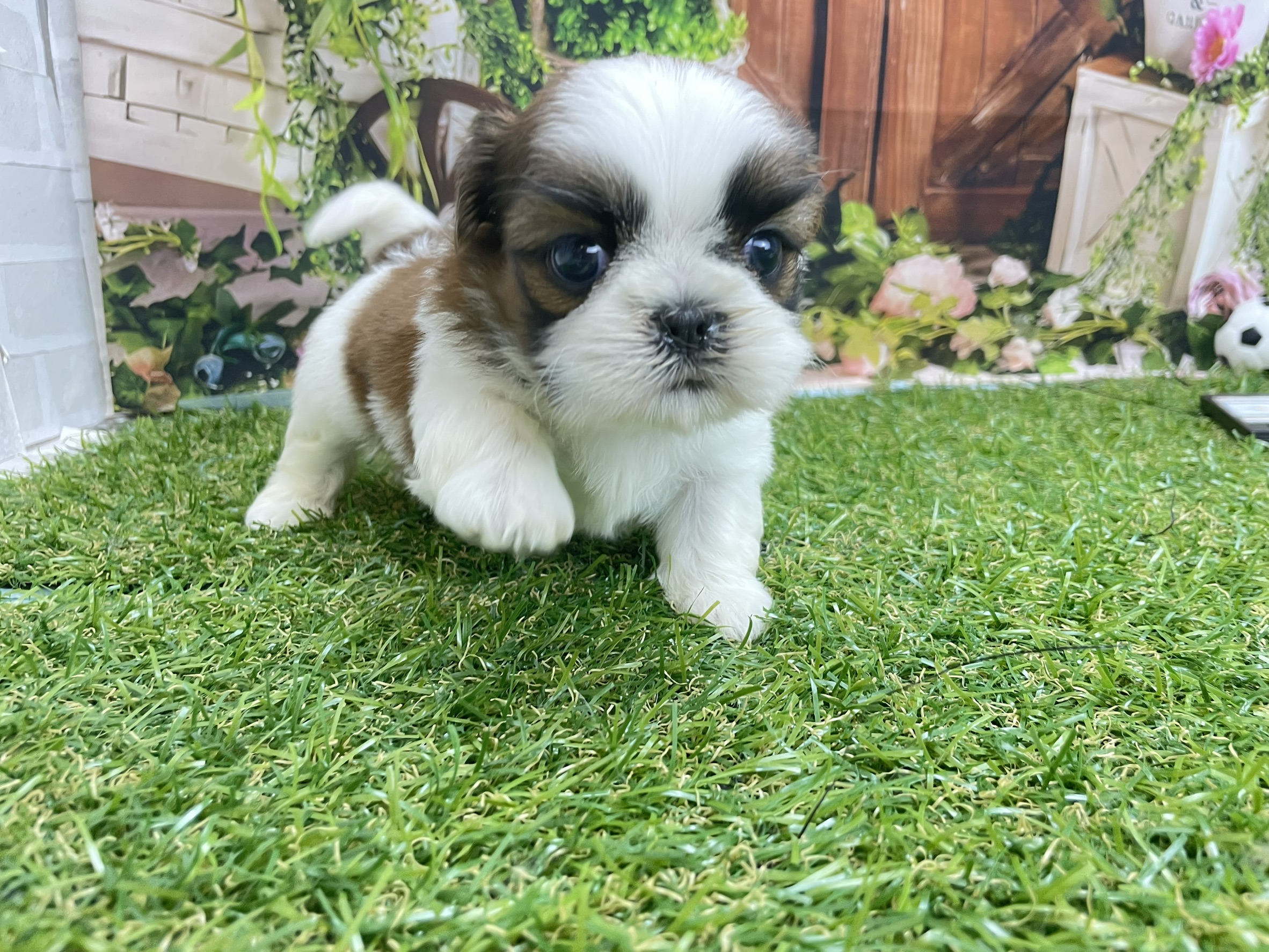 赤ちゃん写真2-2