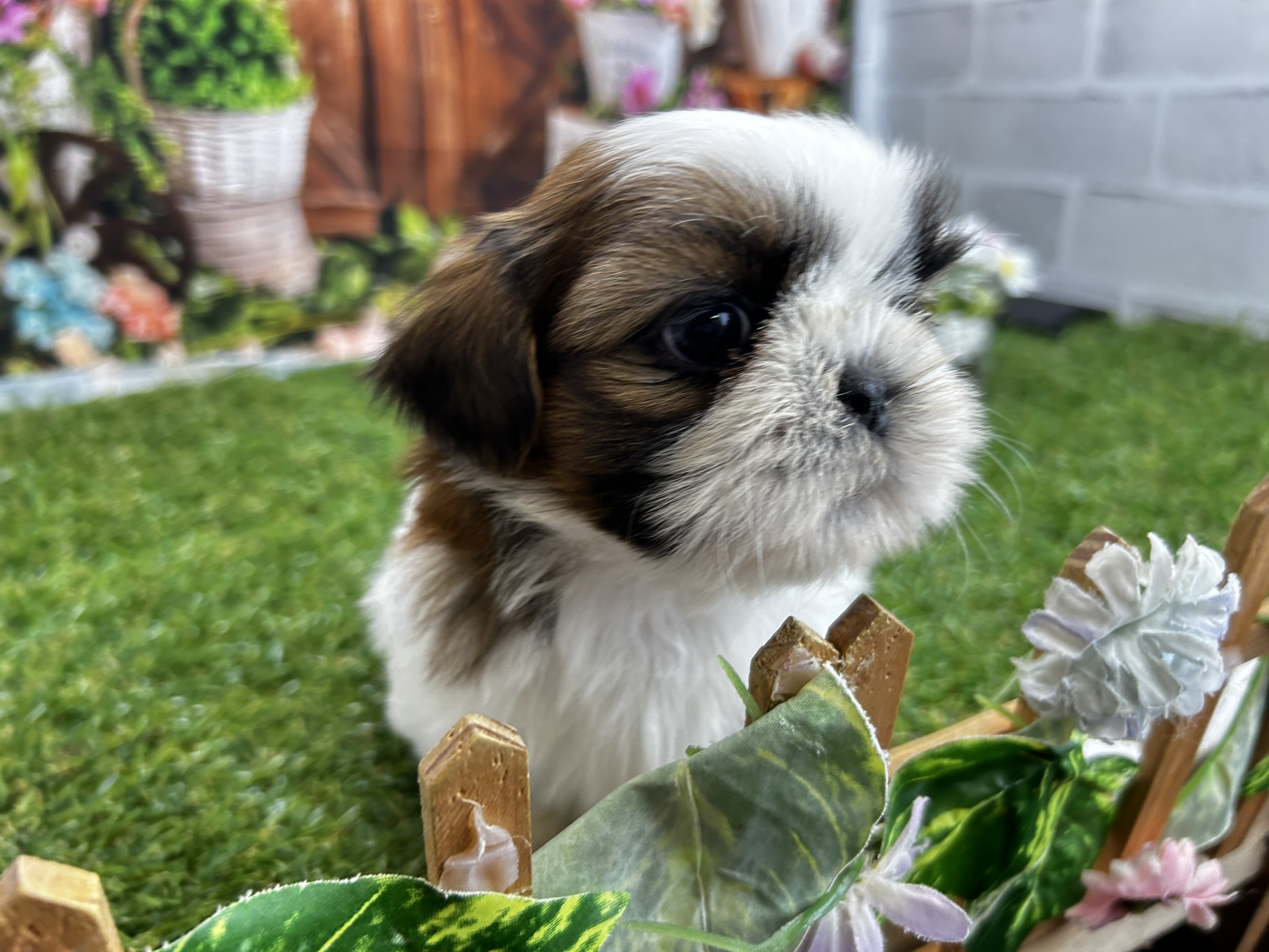 赤ちゃん写真3-1