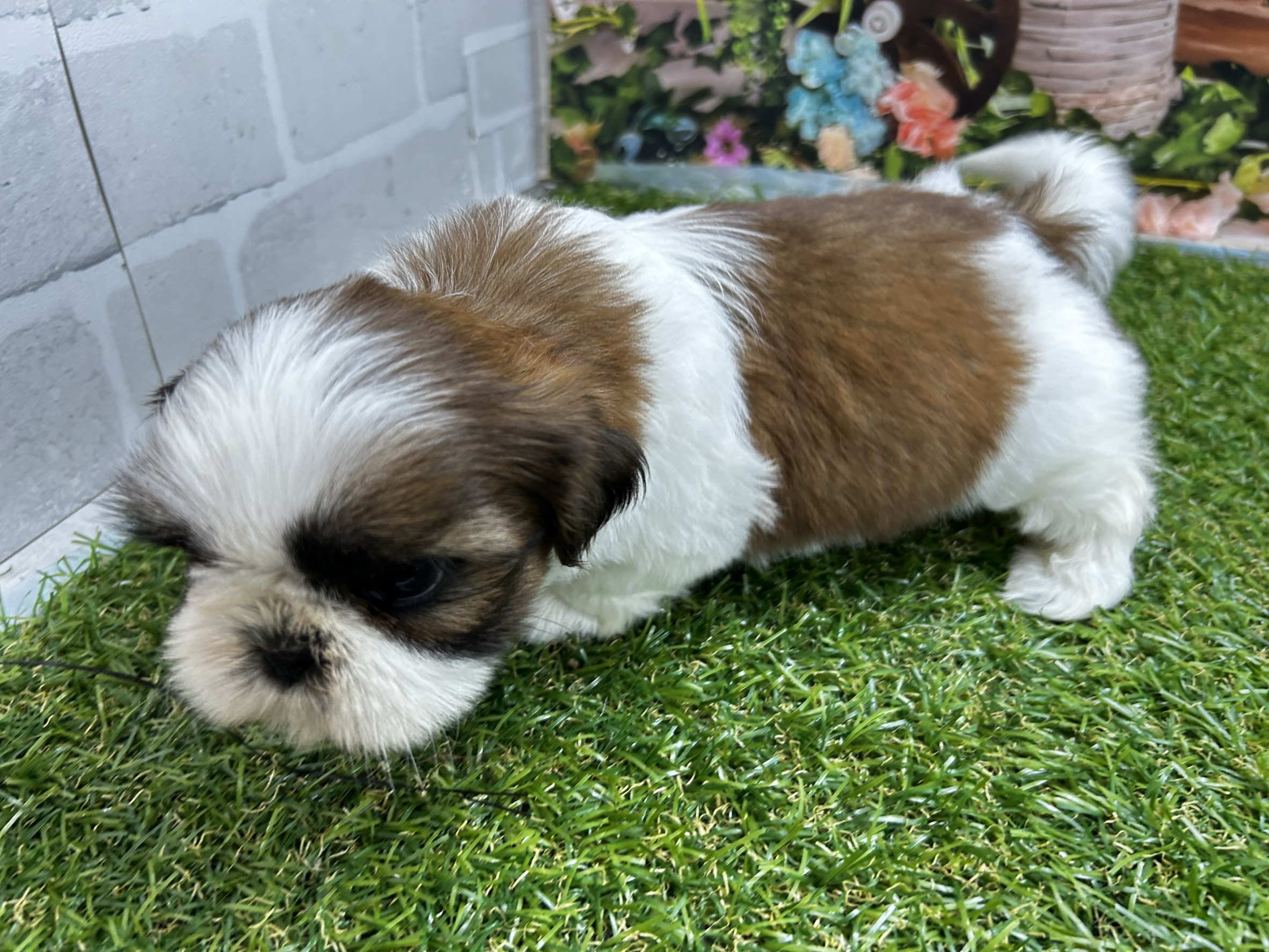 赤ちゃん写真3-2