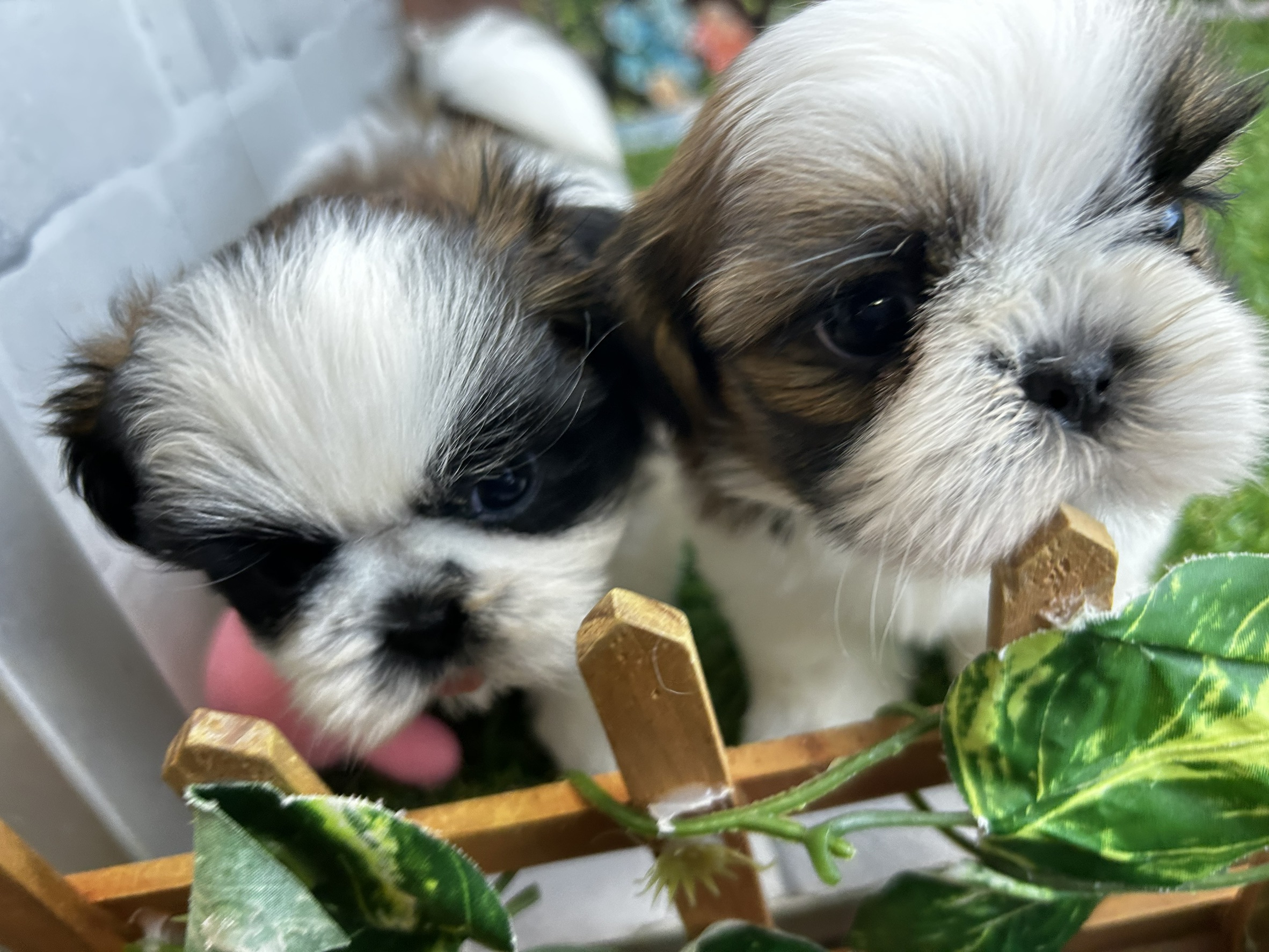 赤ちゃん写真3-3