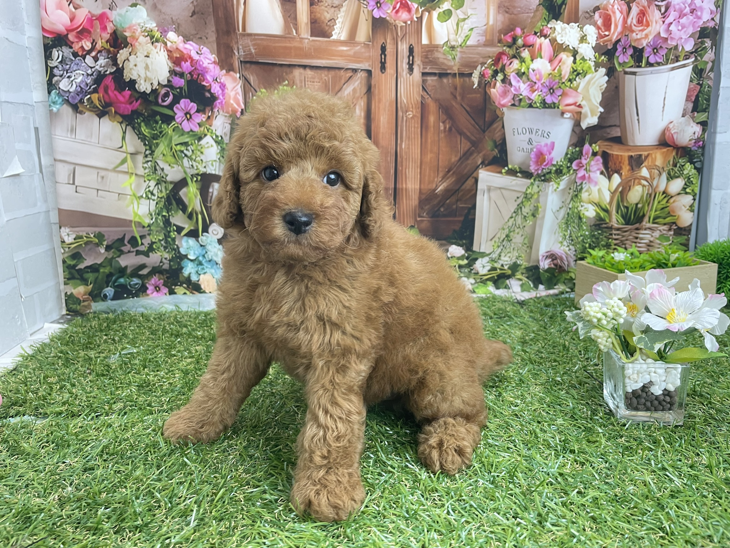 赤ちゃん写真3-1