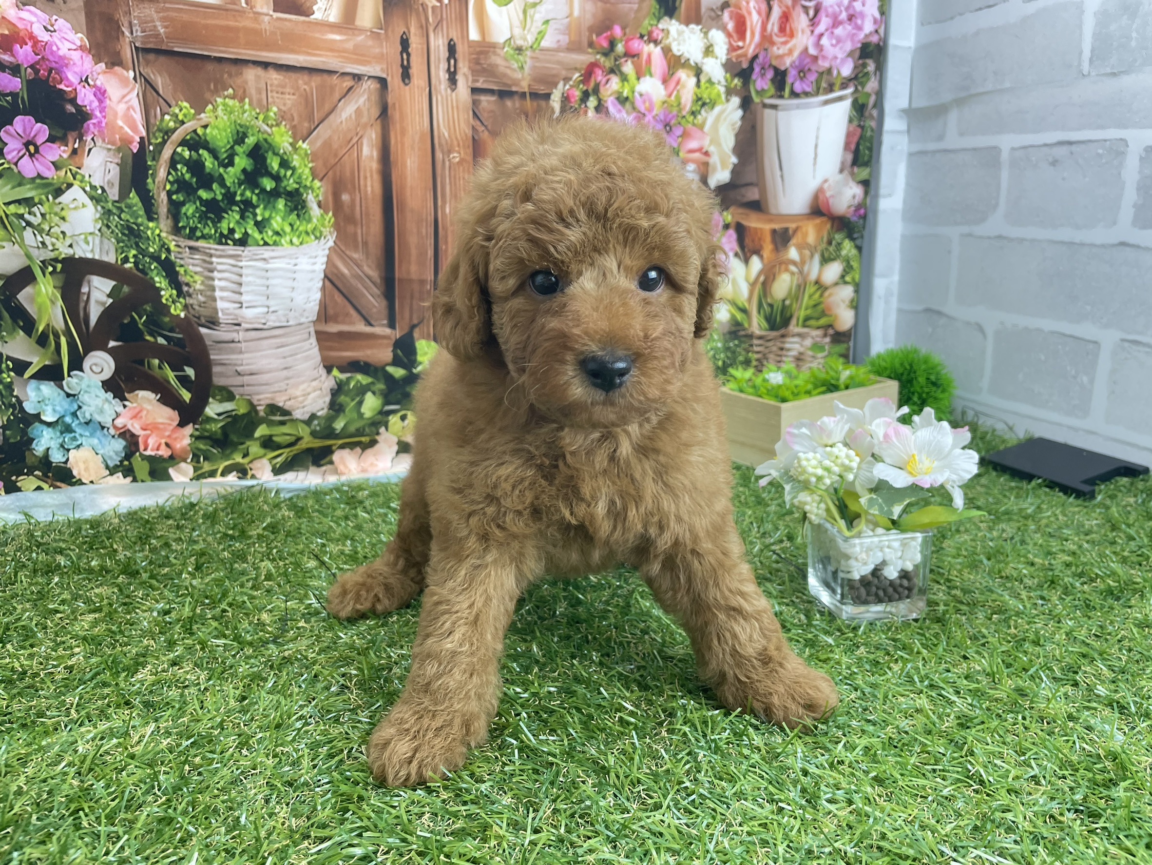 赤ちゃん写真3-3