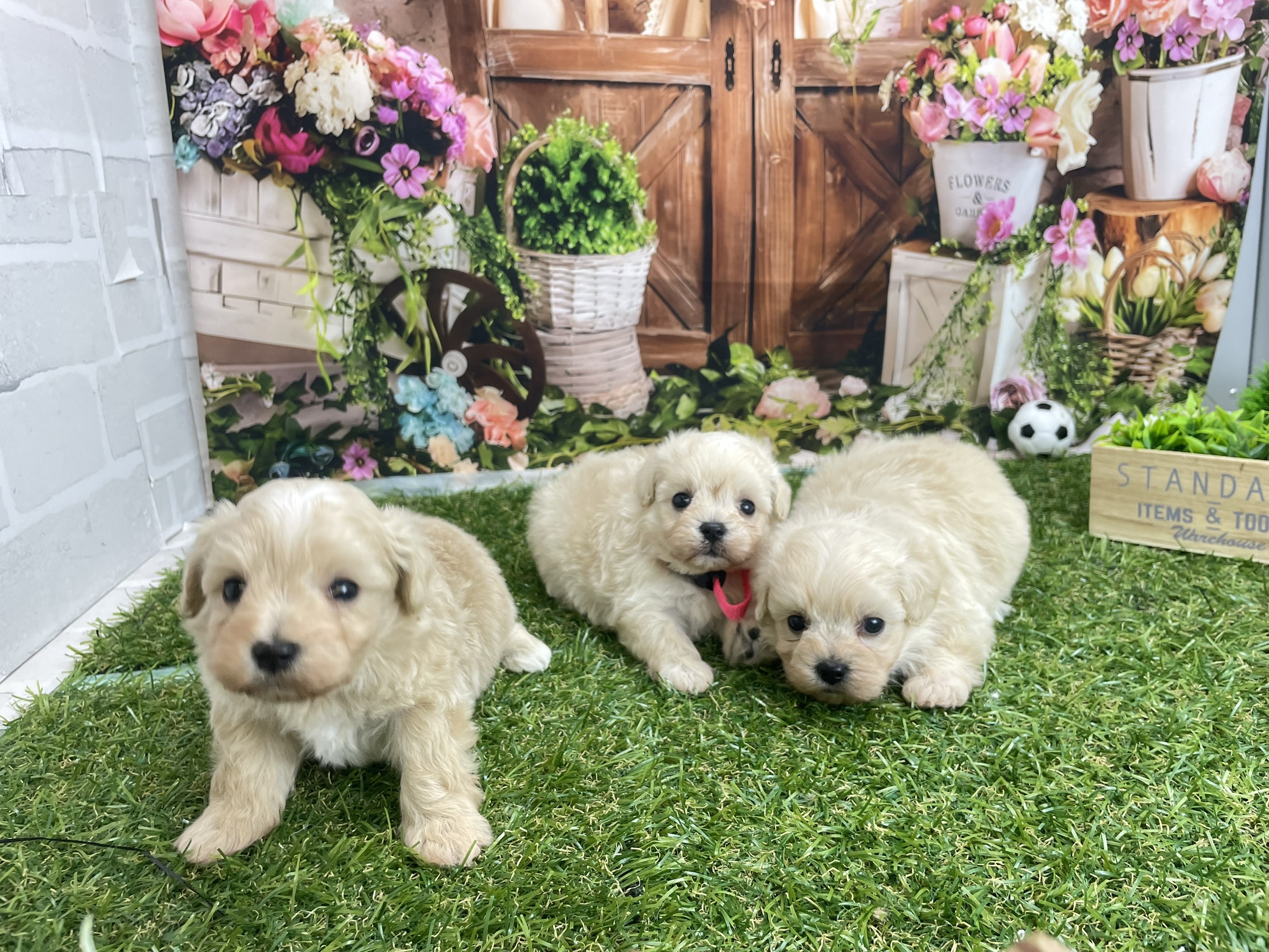 赤ちゃん写真2-3