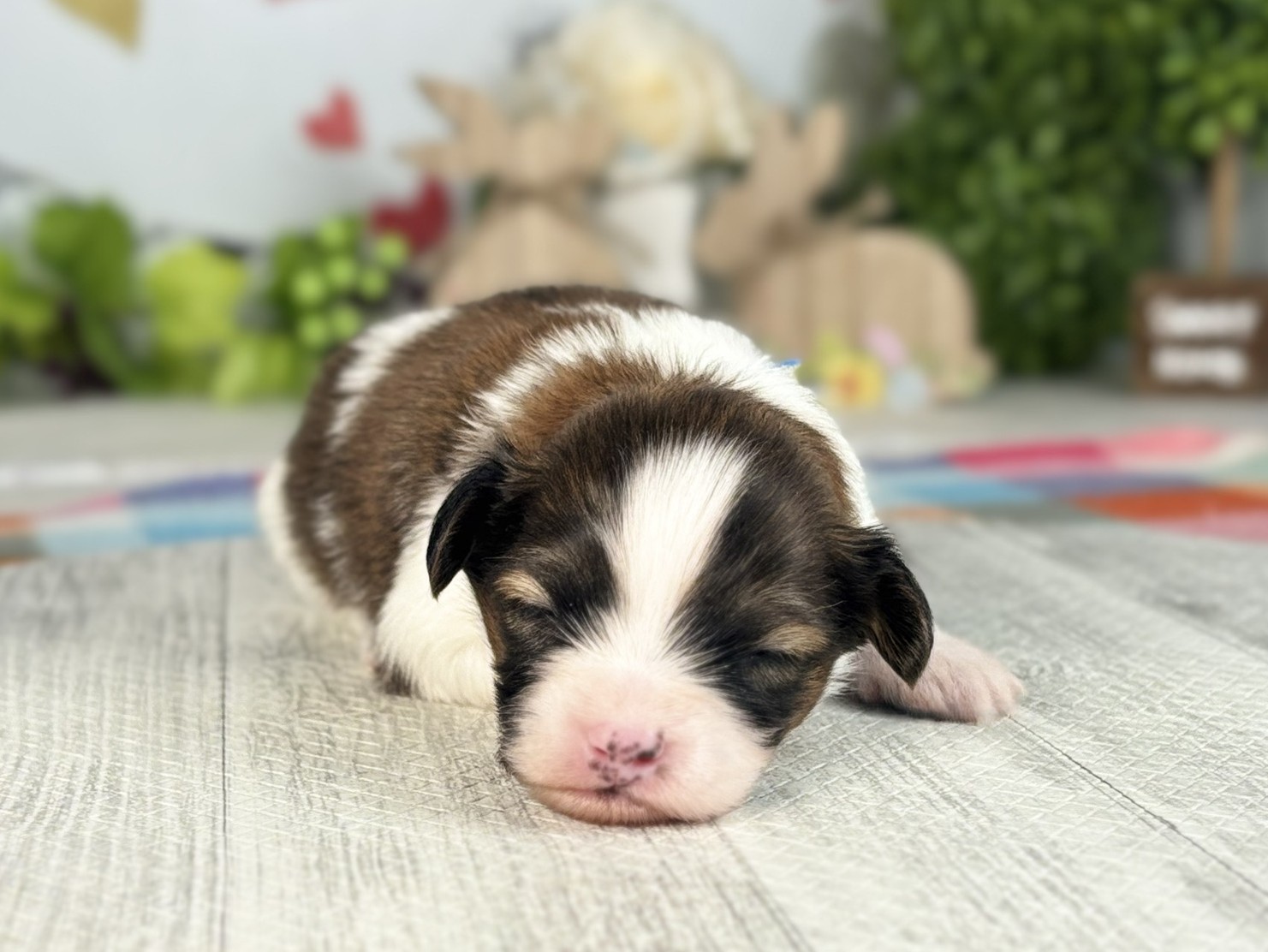 赤ちゃん写真1-1